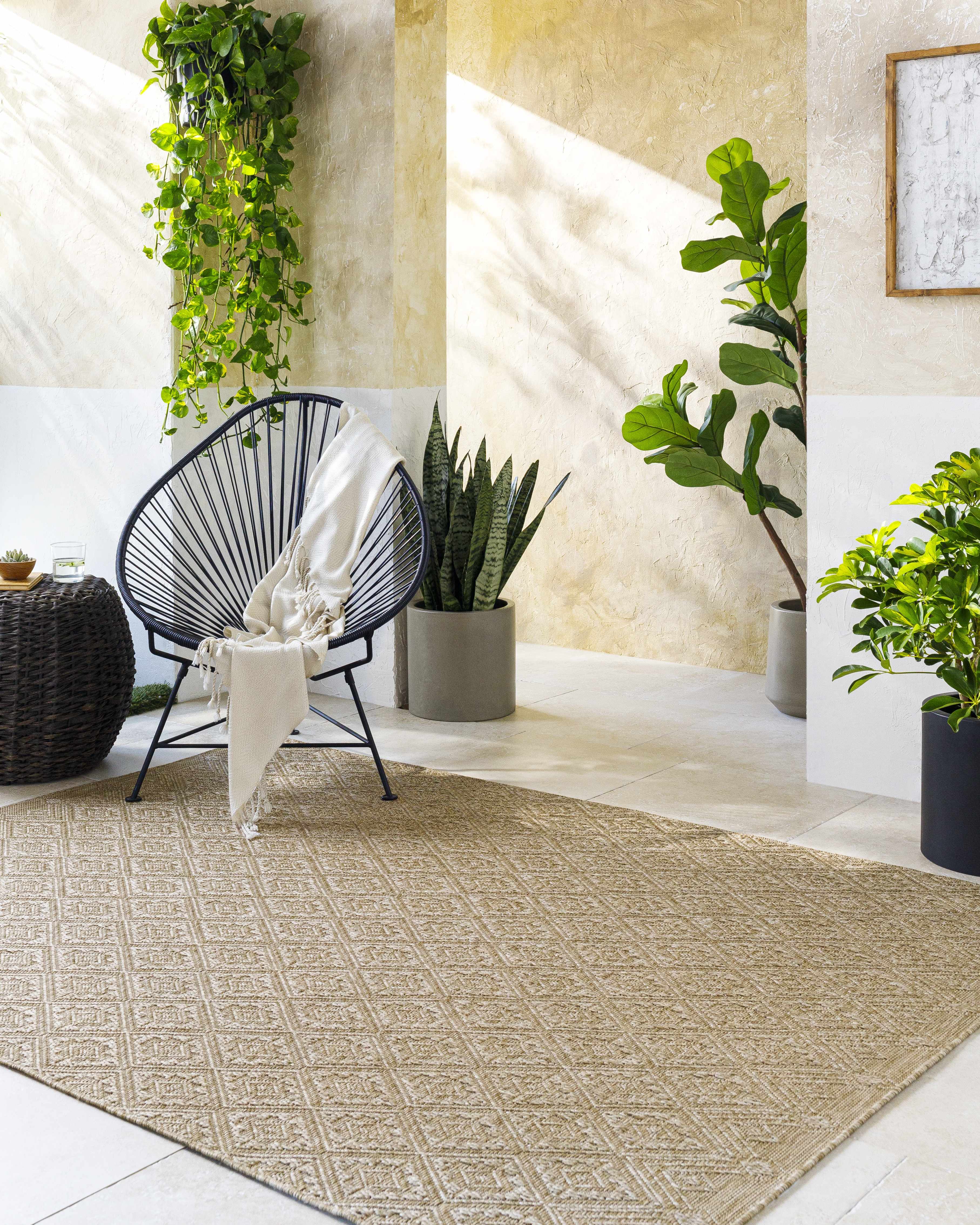 Bandit Brown Outdoor Area Rug