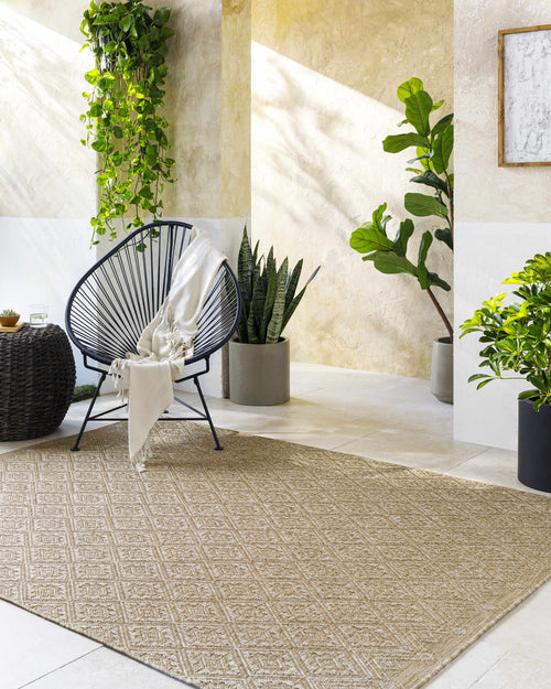 Bandit Brown Outdoor Area Rug
