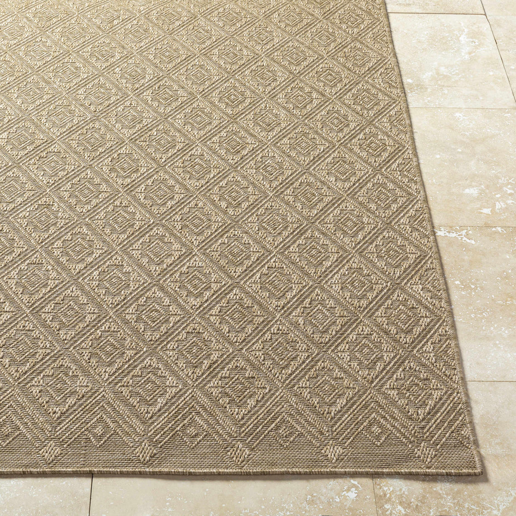 Bandit Brown Outdoor Area Rug