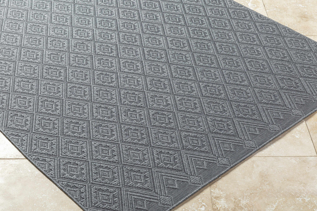 Bandit Gray Outdoor Area Rug