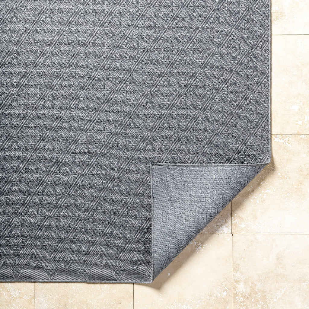 Bandit Gray Outdoor Area Rug