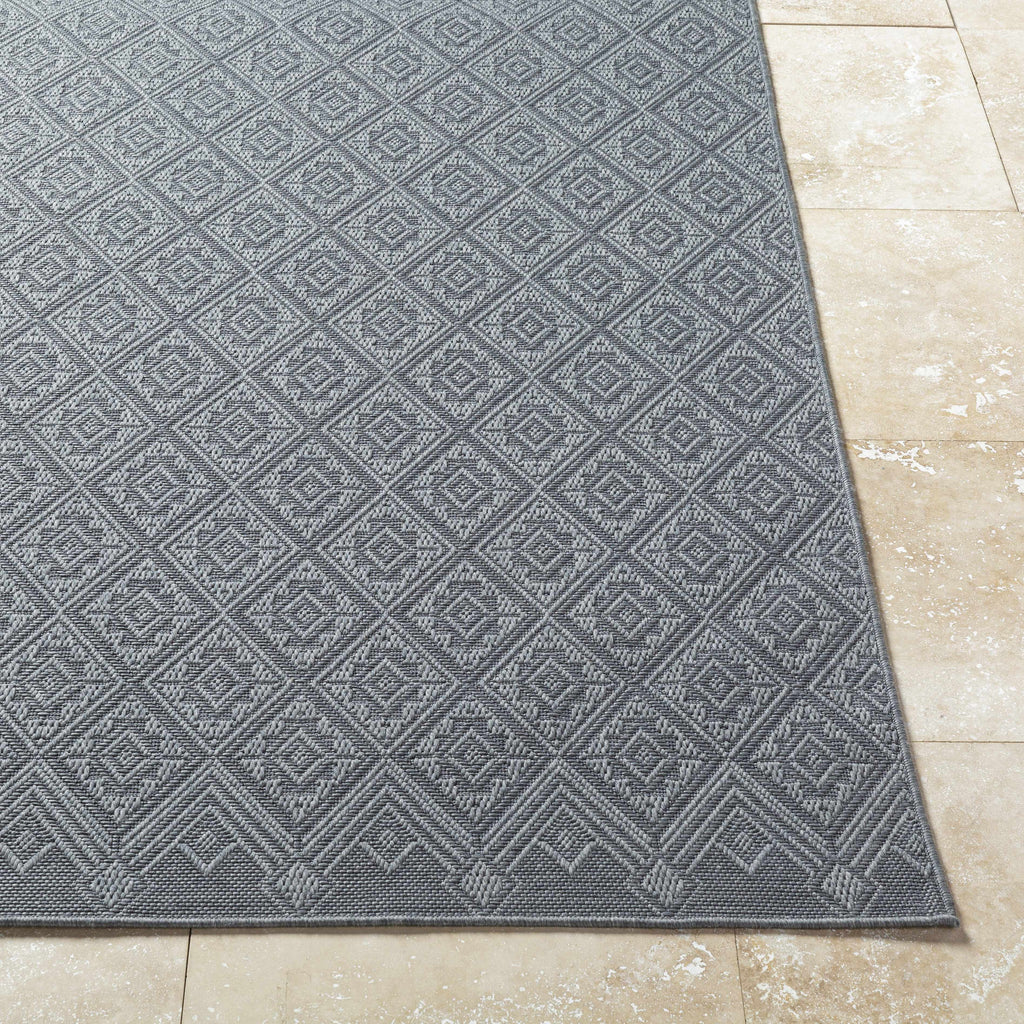 Bandit Gray Outdoor Area Rug