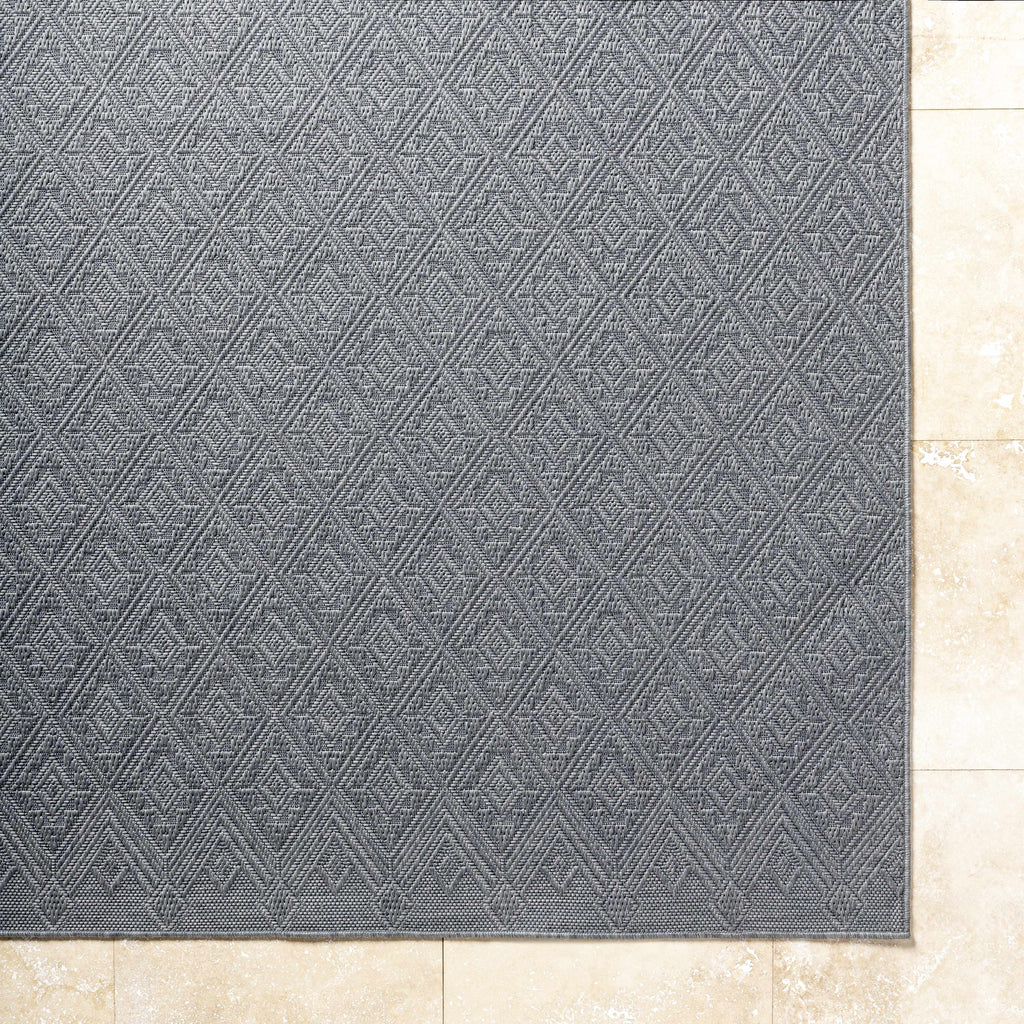 Bandit Gray Outdoor Area Rug