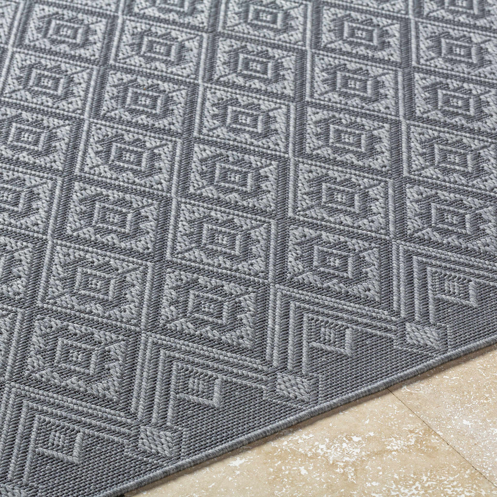 Bandit Gray Outdoor Area Rug