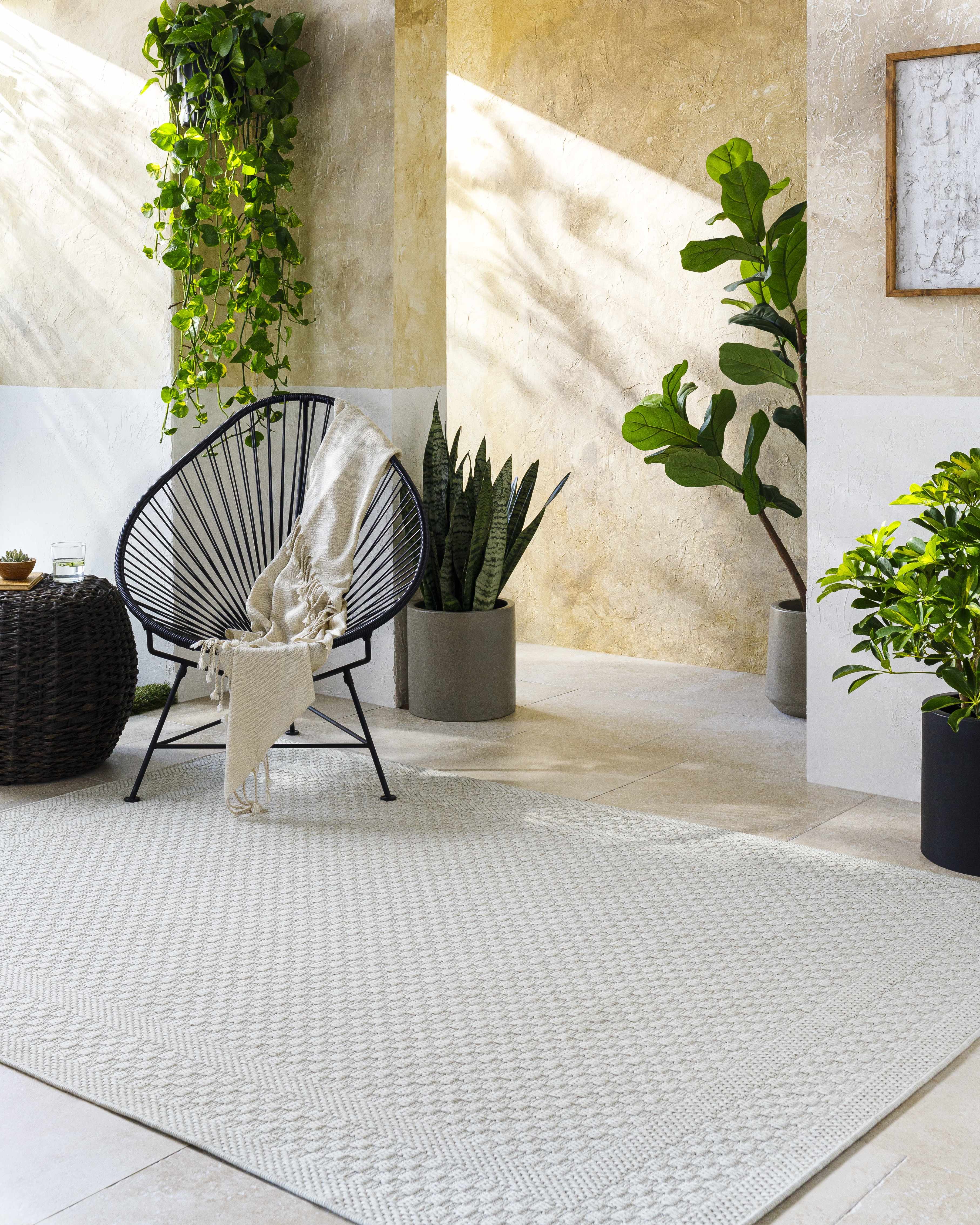 Brinda Outdoor Area Rug