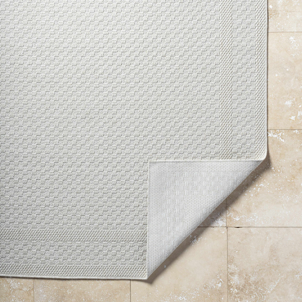 Brinda Outdoor Area Rug