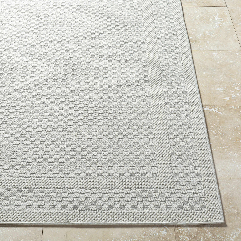 Brinda Outdoor Area Rug