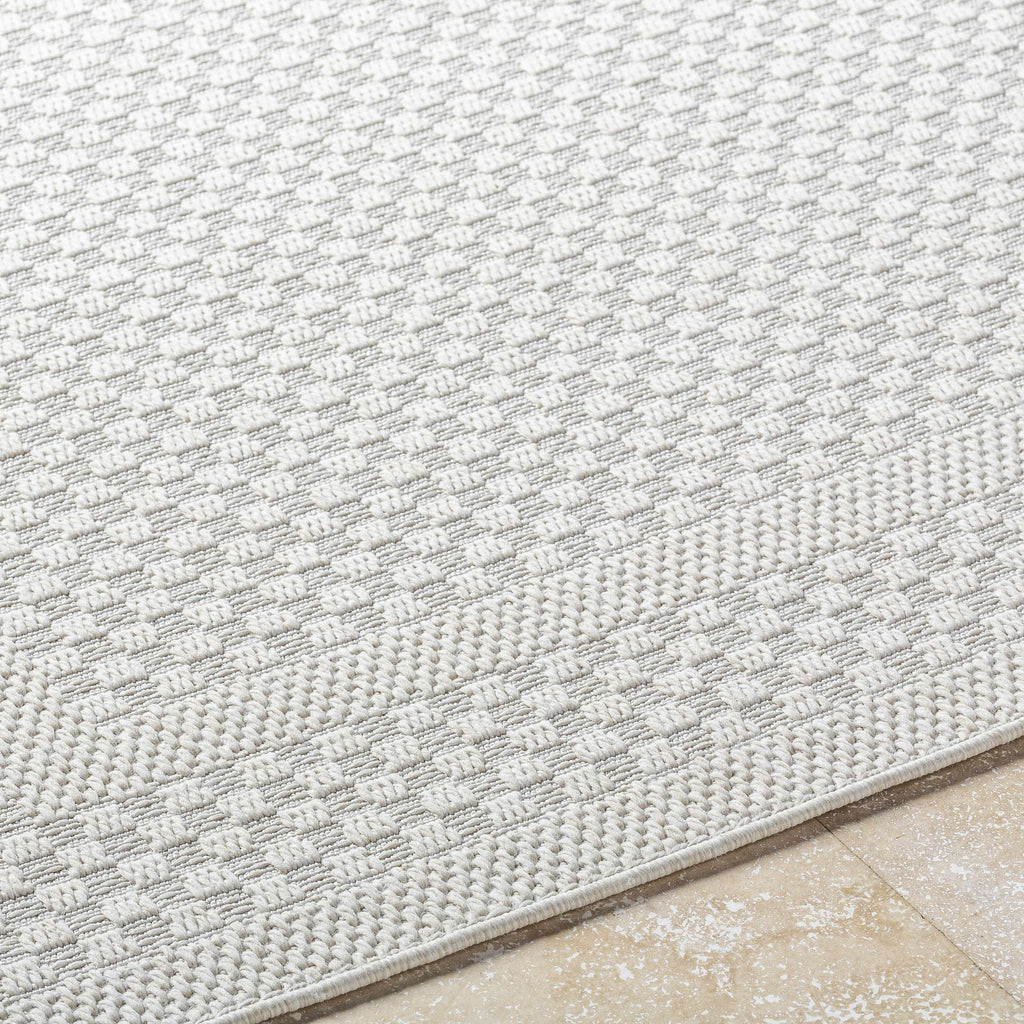 Brinda Outdoor Area Rug