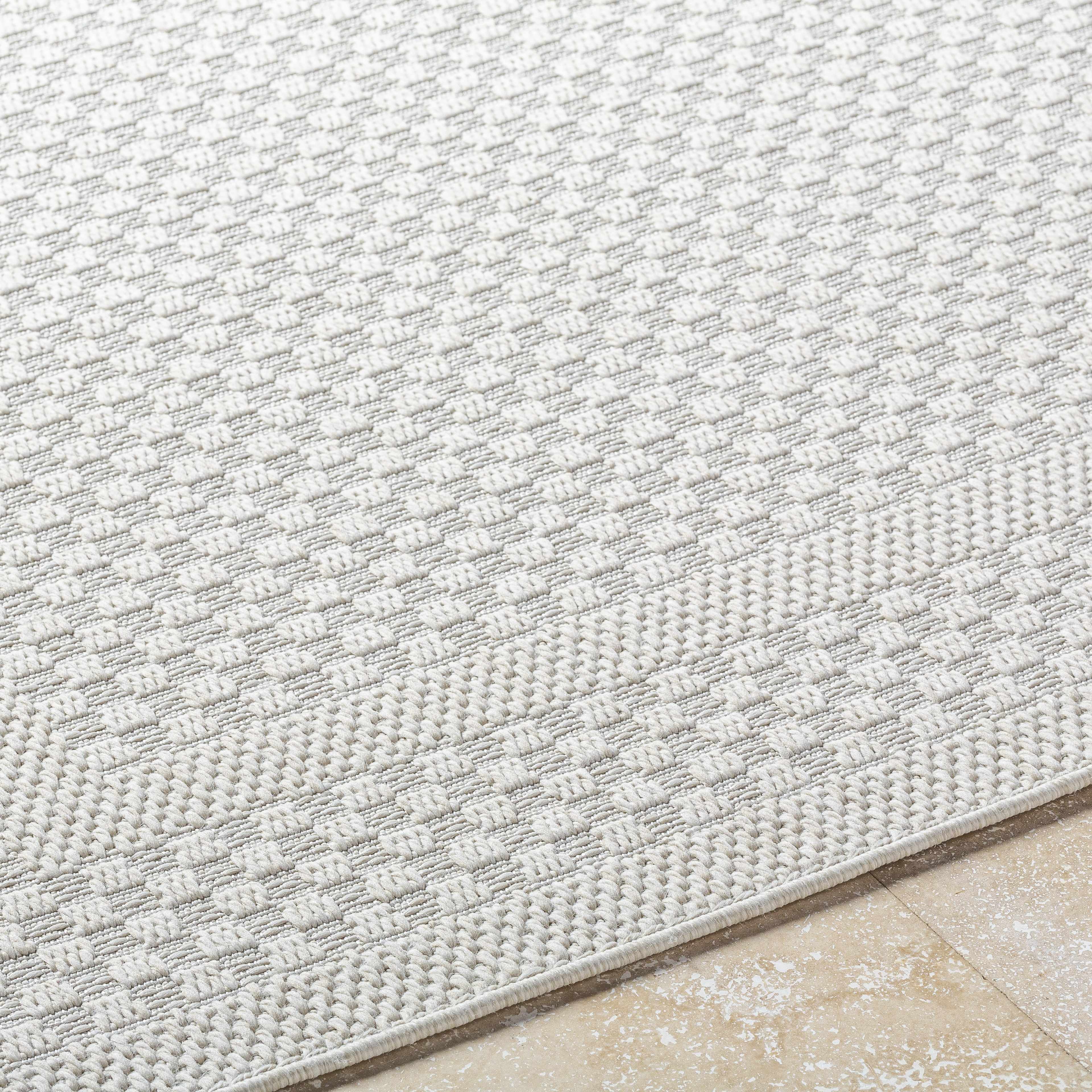 Brinda Outdoor Area Rug
