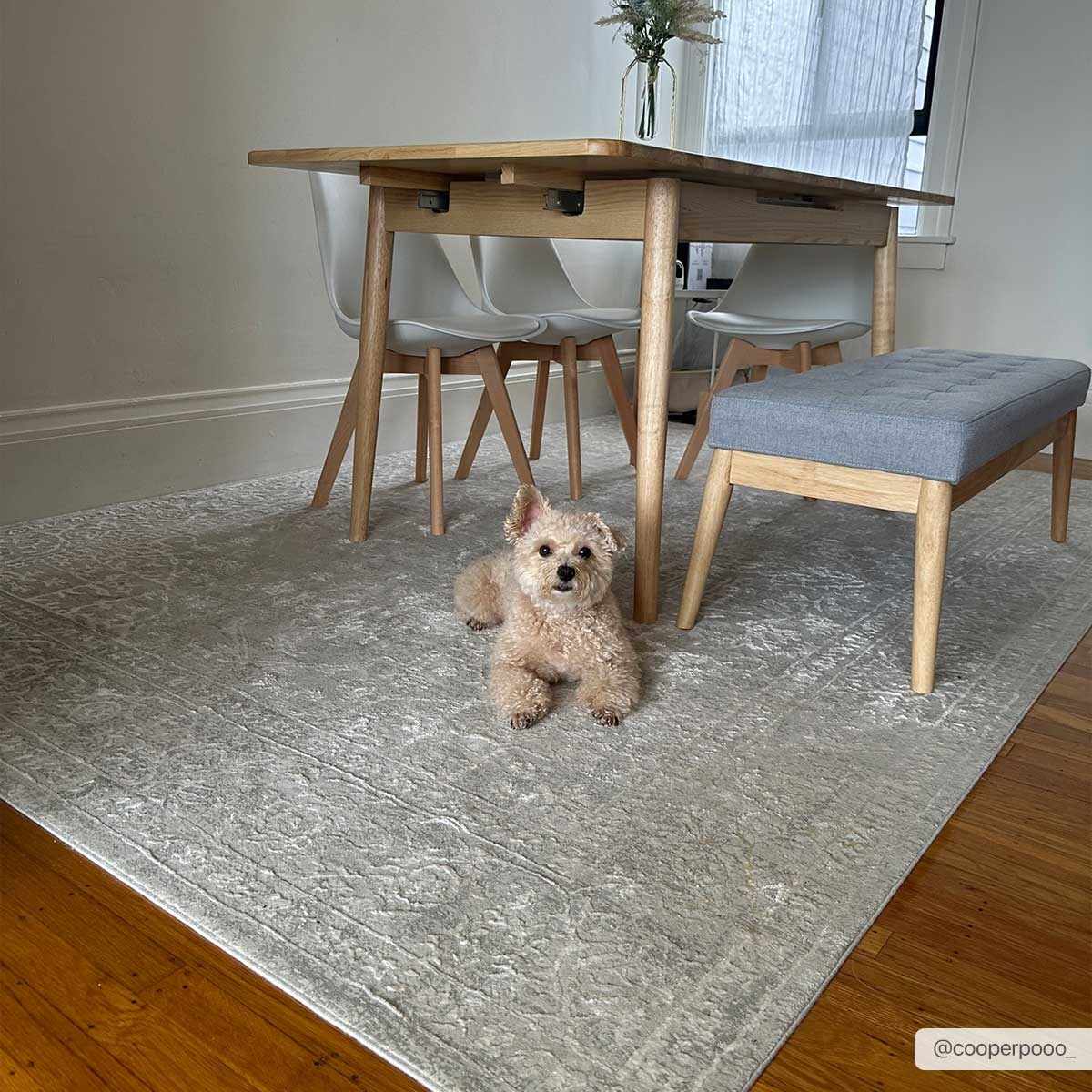 Bolsover Faux Silk Rug