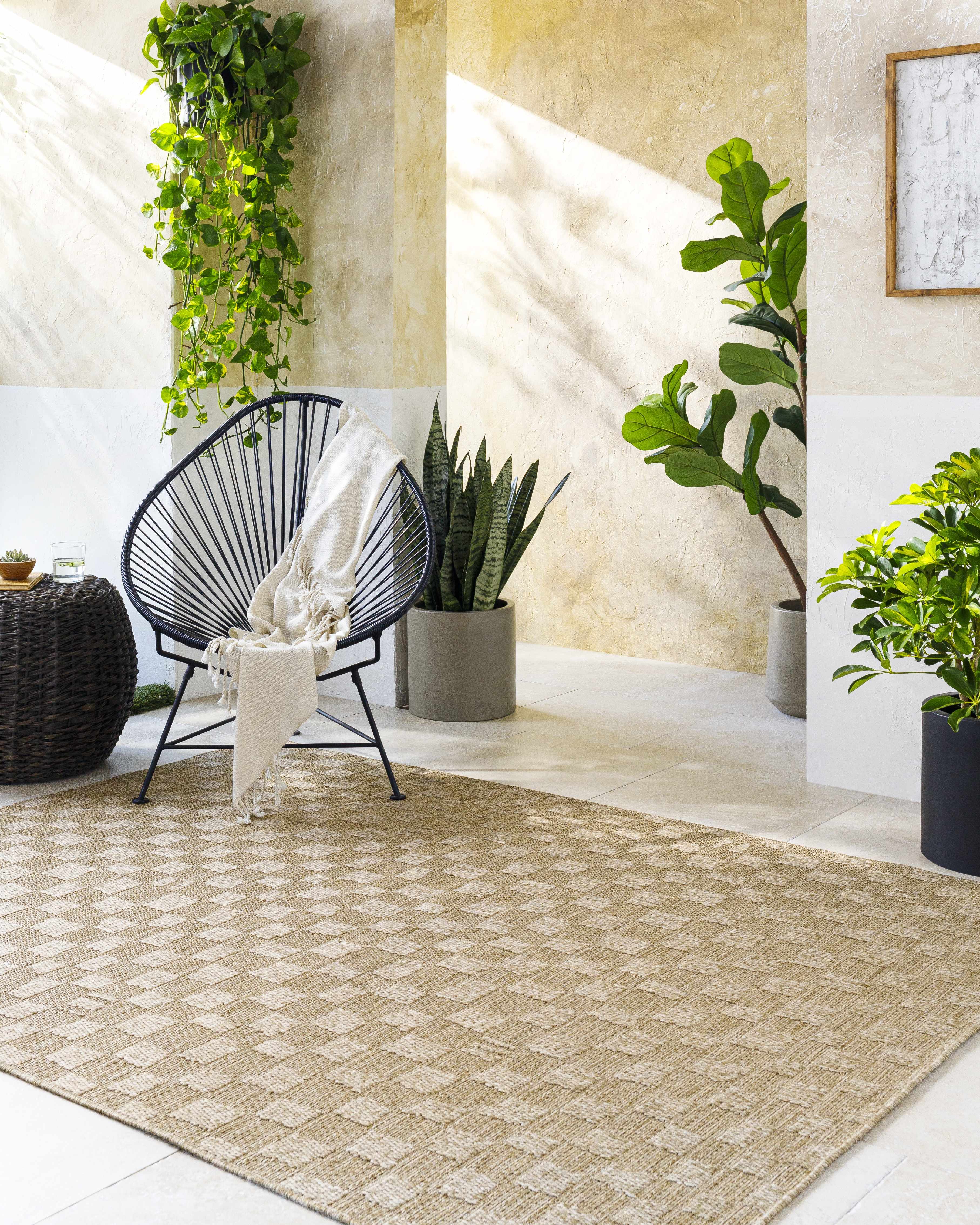 Arifah Prairie Dust Outdoor Area Rug