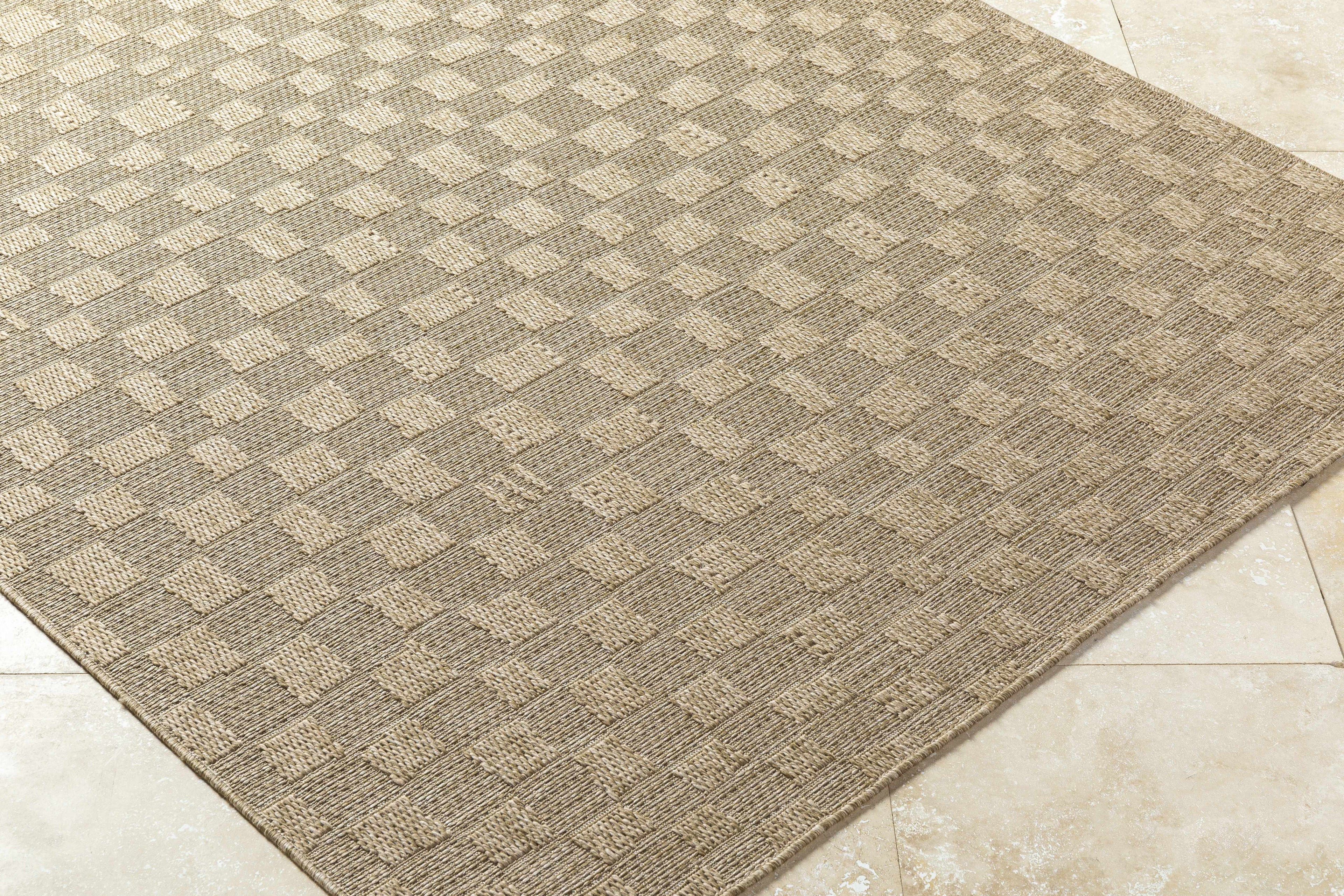 Arifah Prairie Dust Outdoor Area Rug