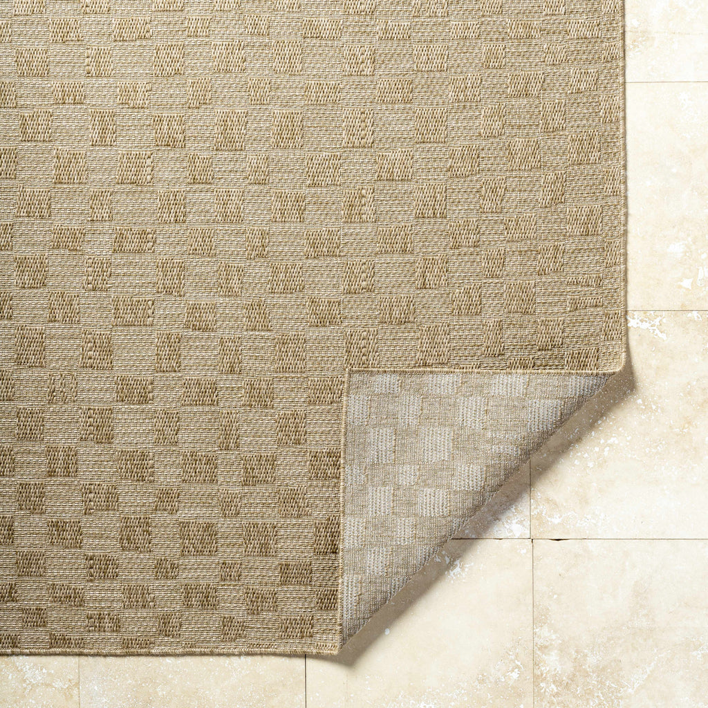 Arifah Prairie Dust Outdoor Area Rug