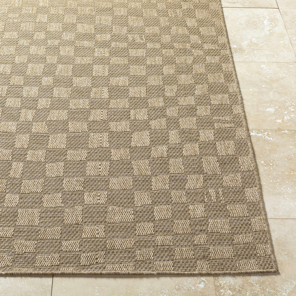 Arifah Prairie Dust Outdoor Area Rug