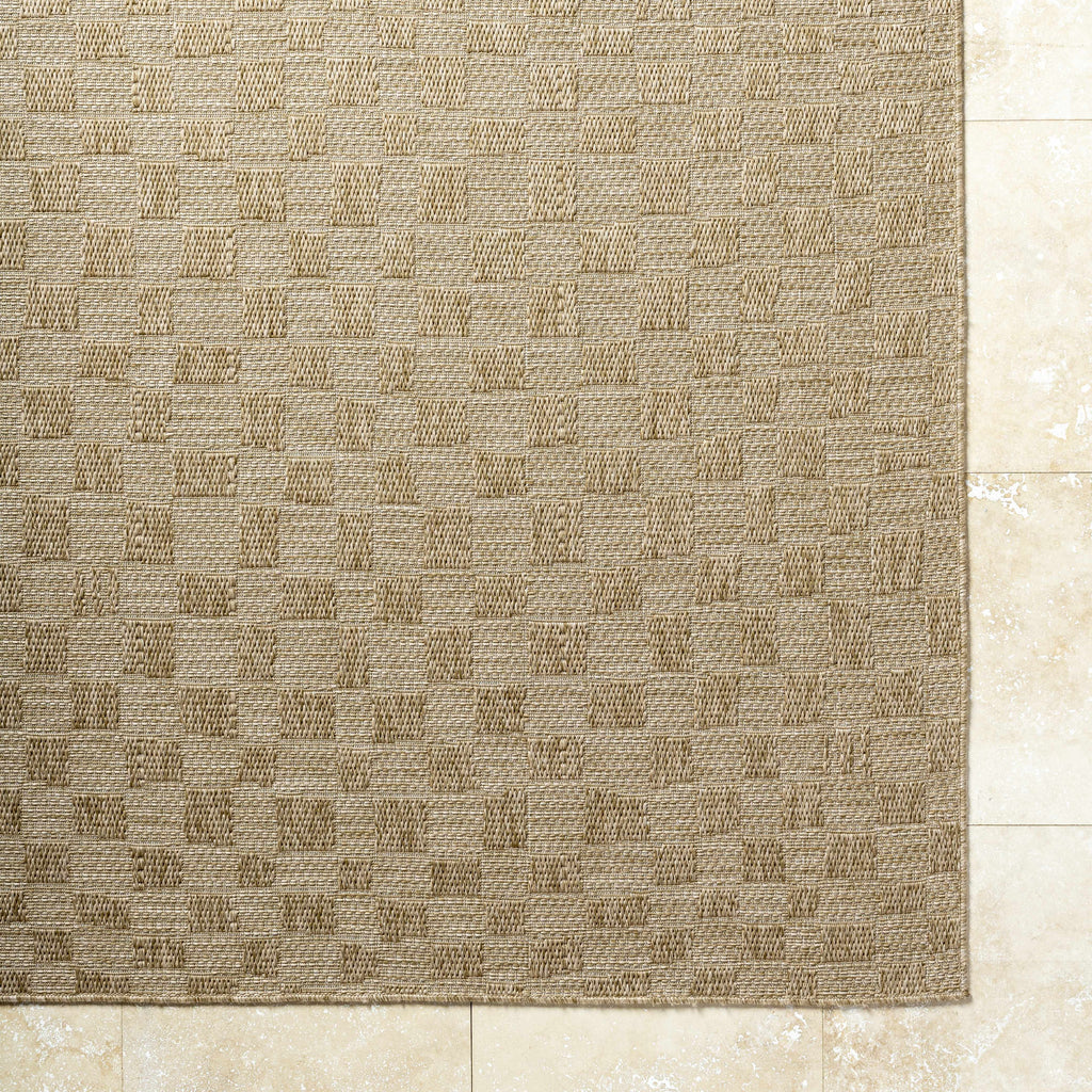 Arifah Prairie Dust Outdoor Area Rug