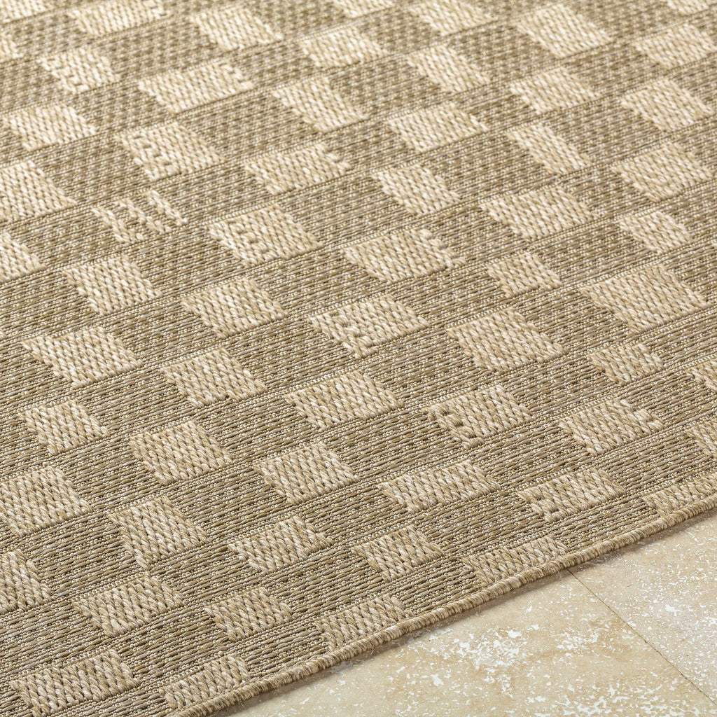 Arifah Prairie Dust Outdoor Area Rug