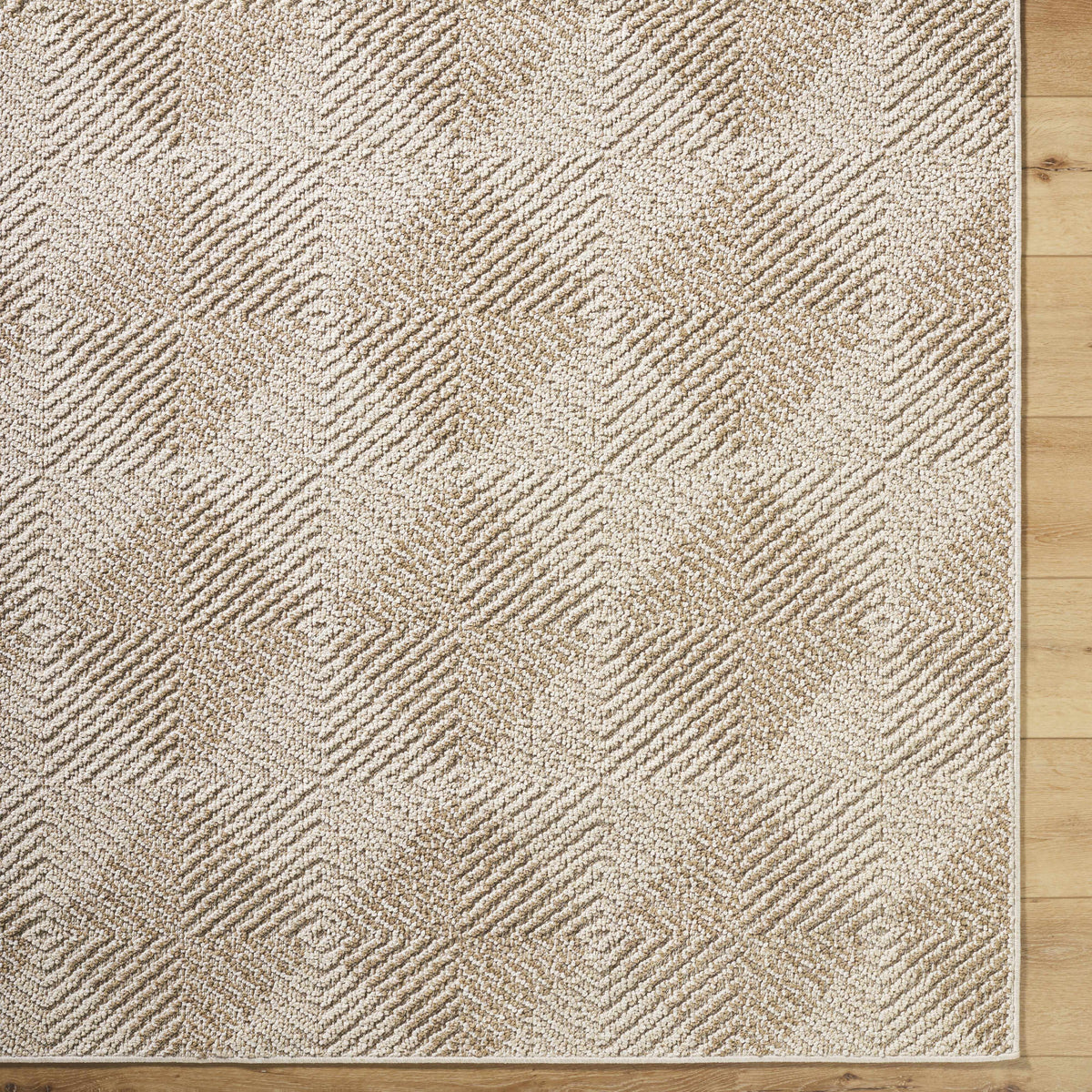 Collen Outdoor Area Rug