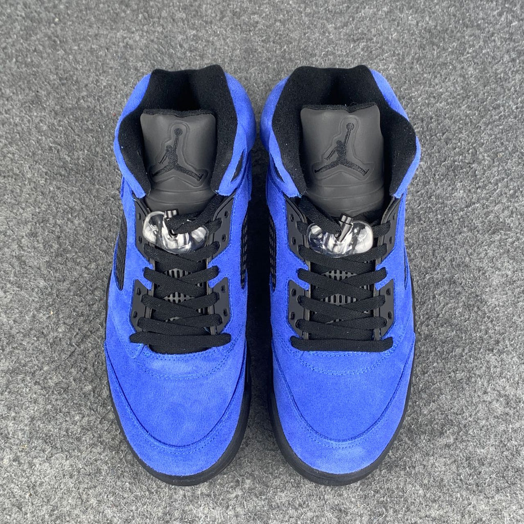 Custom Air Jordan 5 “Nightwing”
