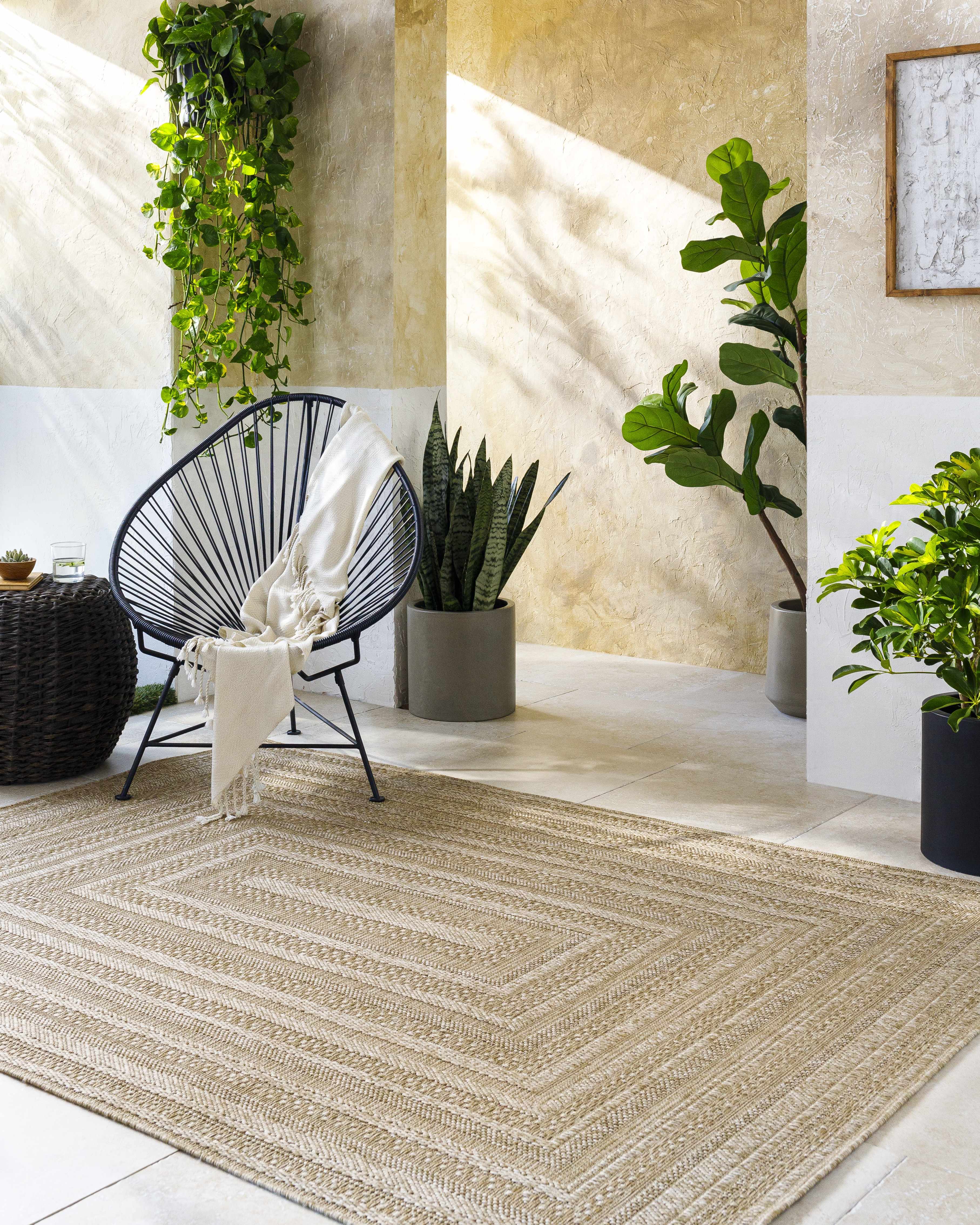 Avalos Brown Outdoor Area Rug