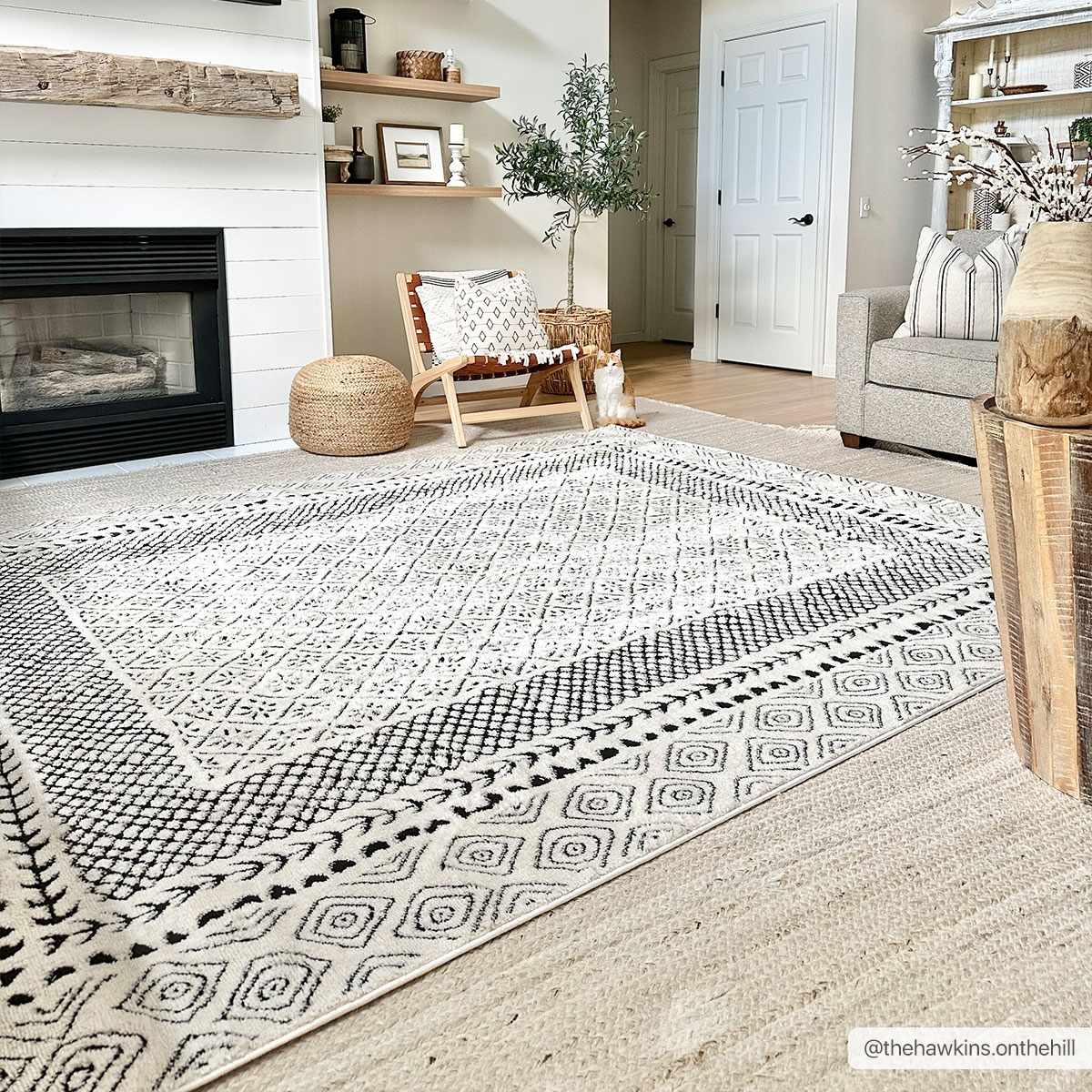 Julio Area Rug