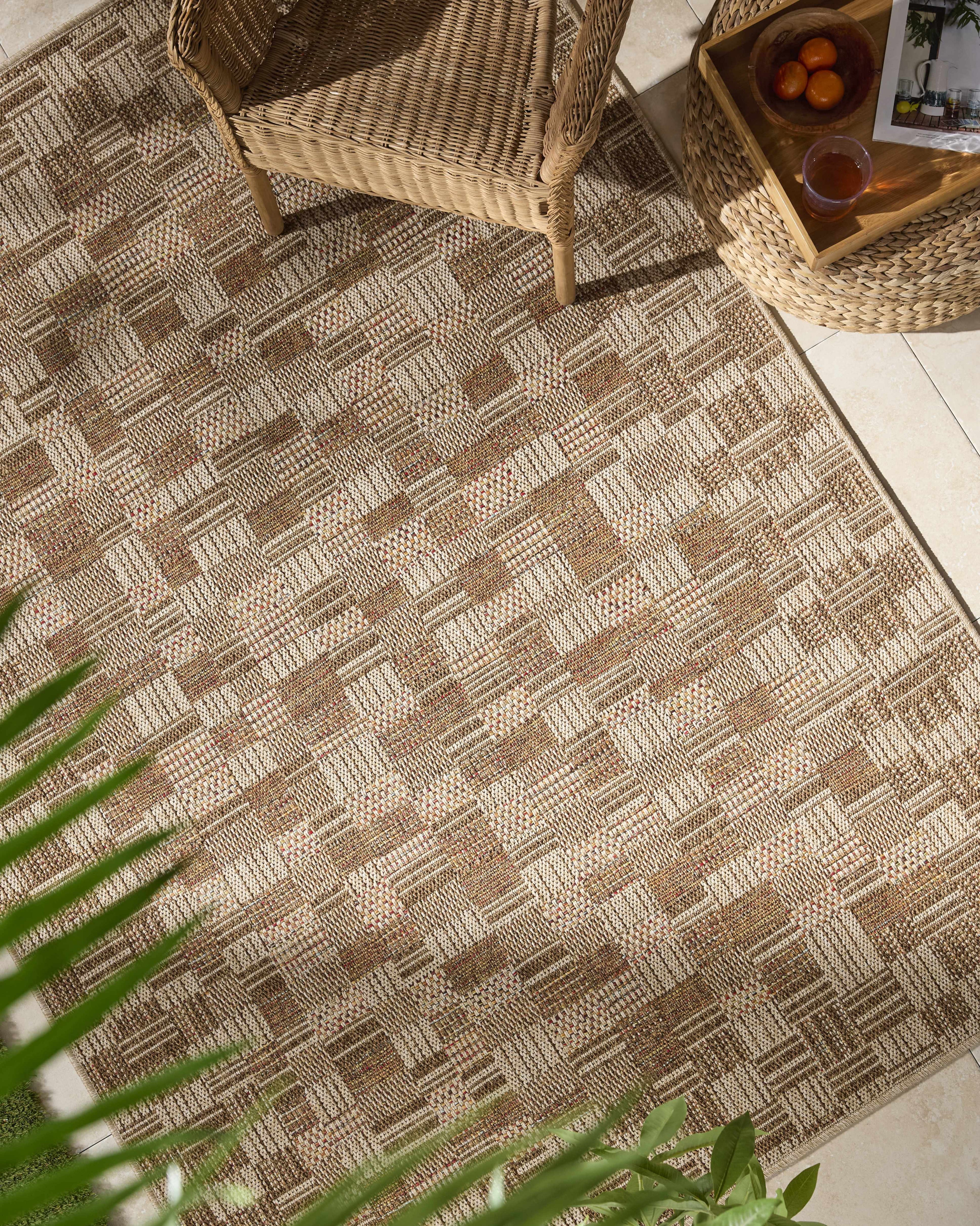 Arshad Burnt Sienna Outdoor Area Rug