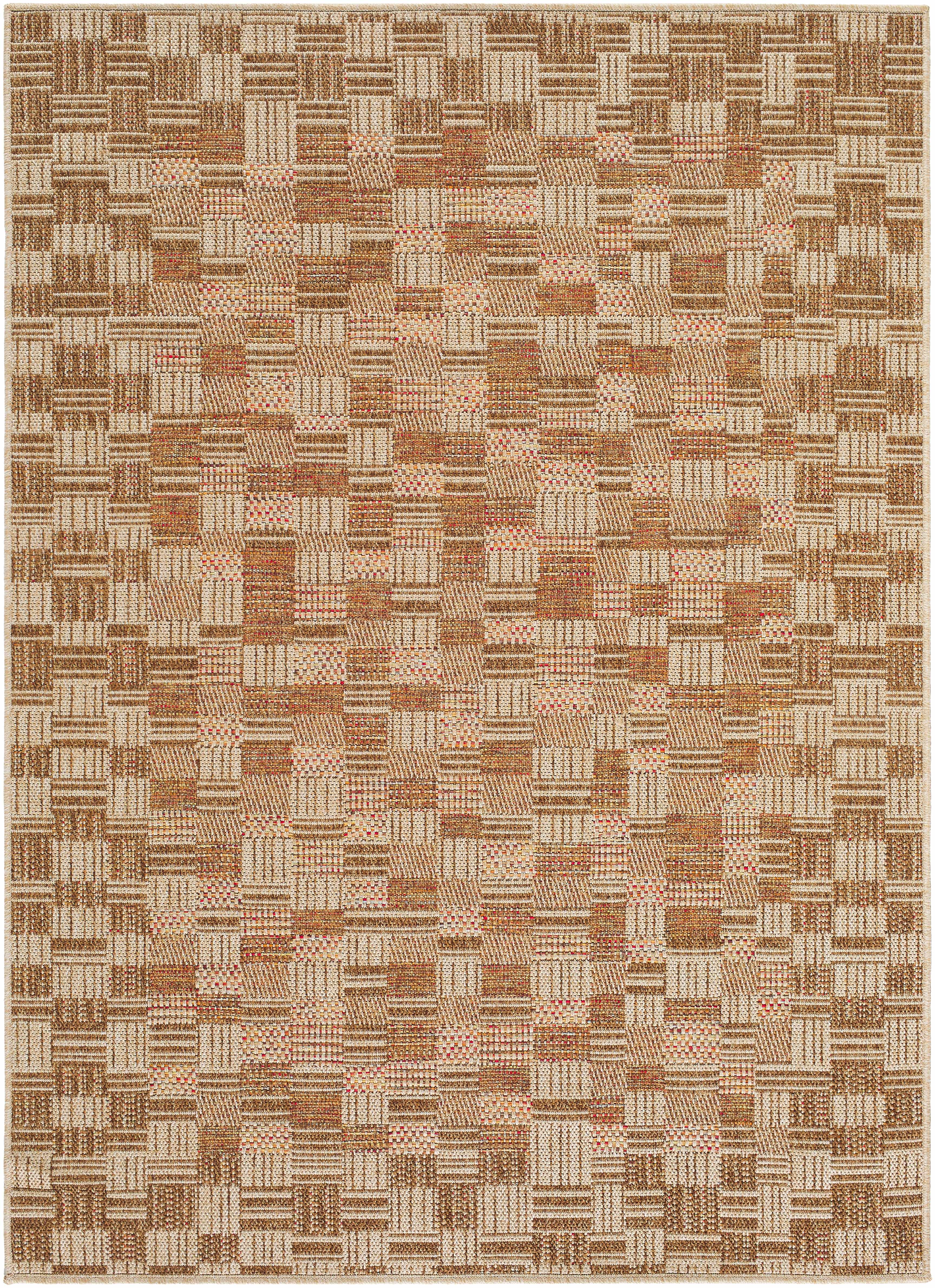 Arshad Burnt Sienna Outdoor Area Rug