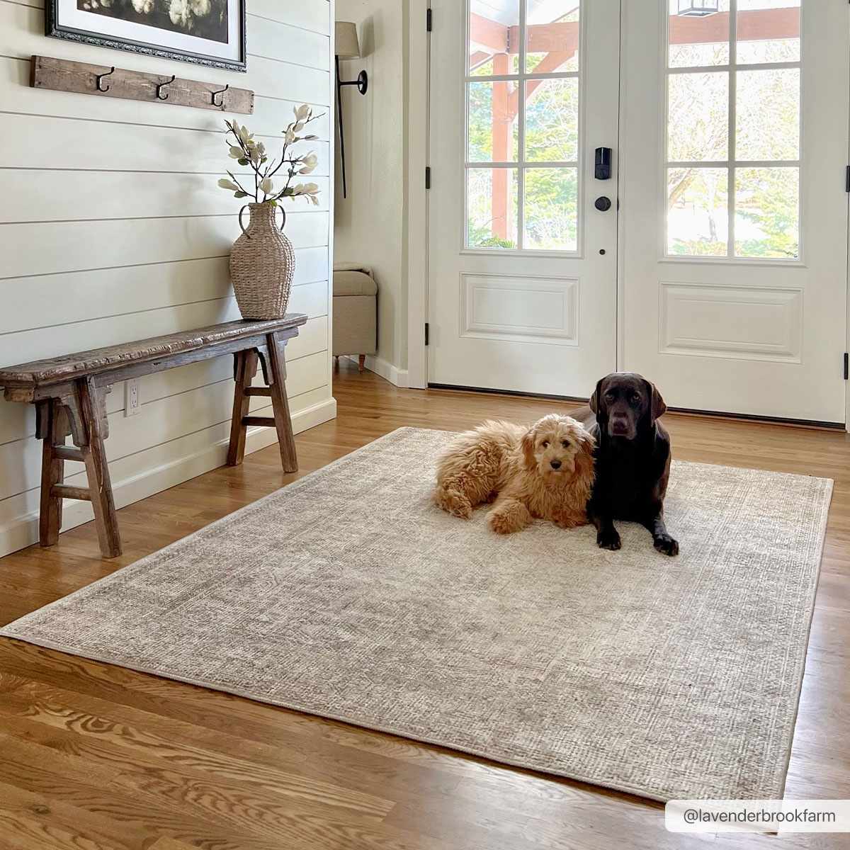 Margot Machine Woven Becki Owens x LIVABLISS BOSC-2302 Area Rug