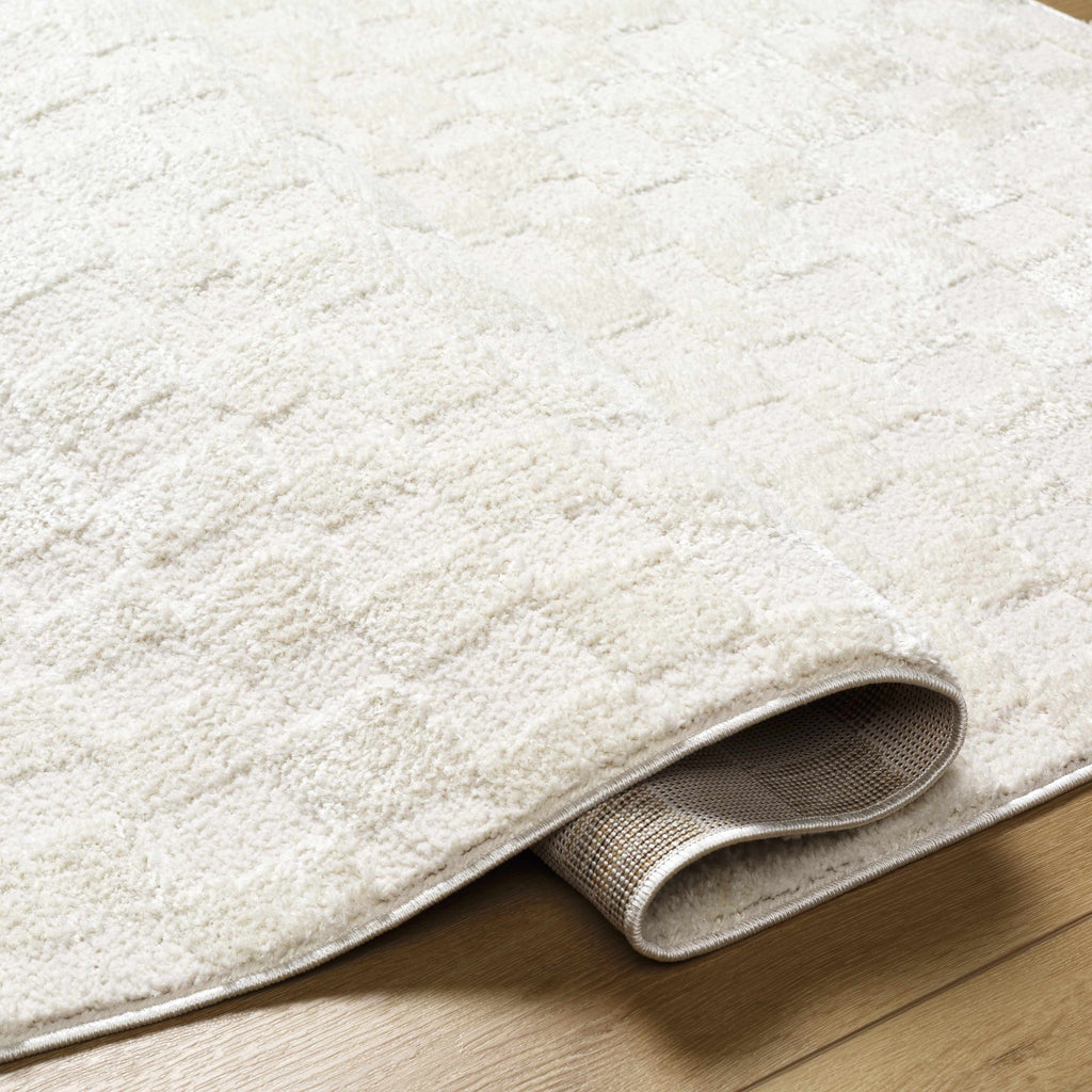 Keesa Checkered Area Rug