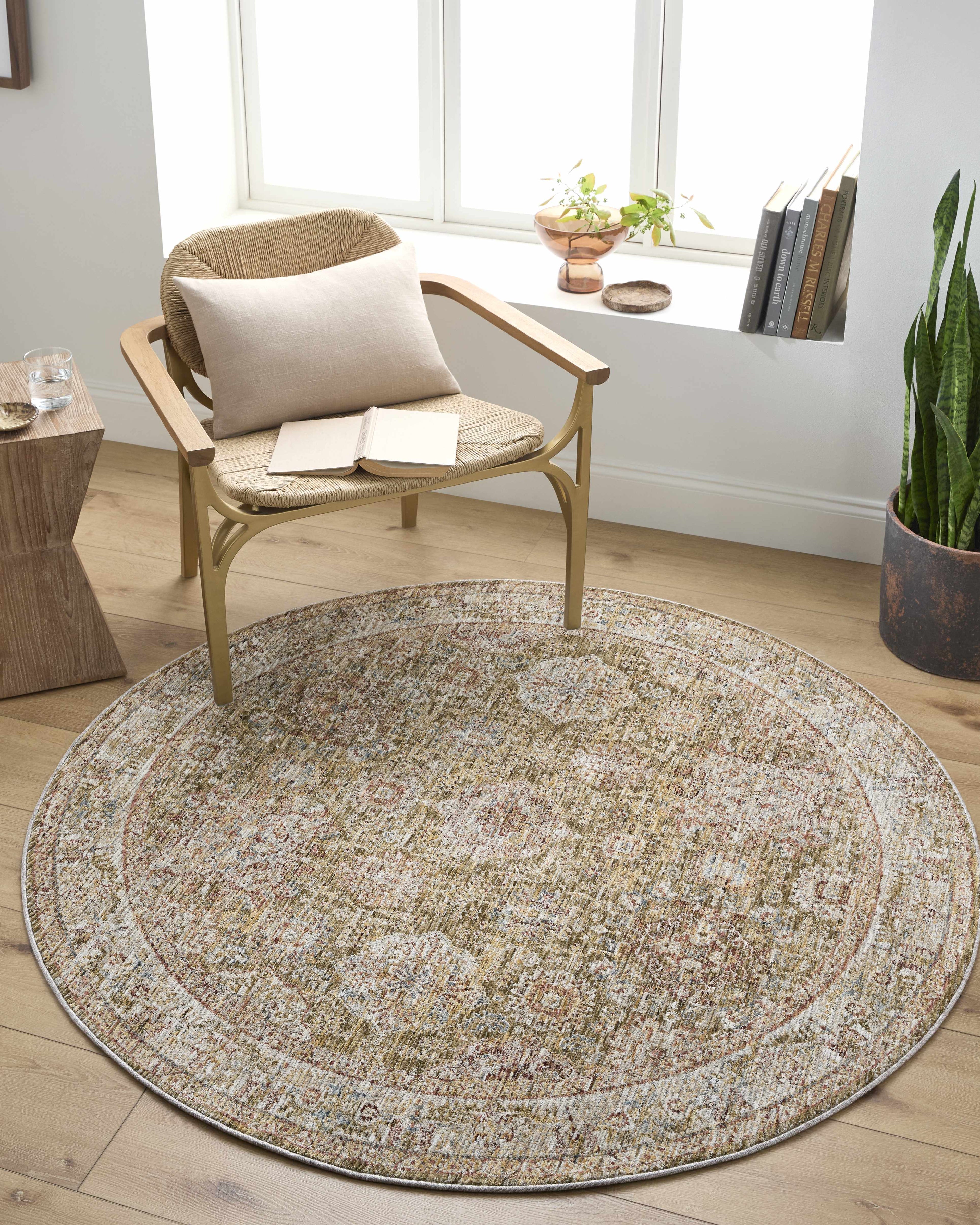 Ange Tan Rich Textured Traditional Rug