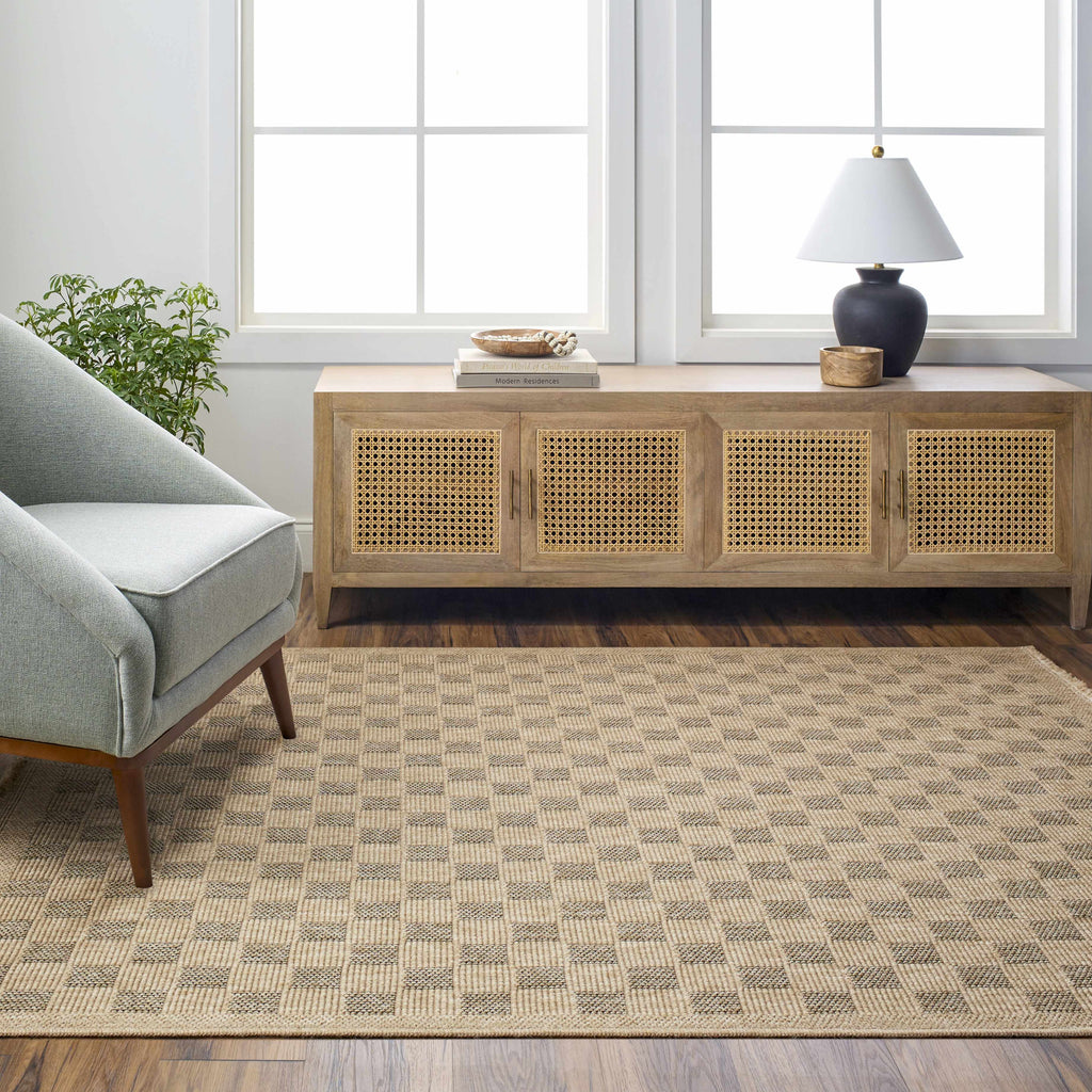 Jurek Beige & Brown Checkered Outdoor Area Rug