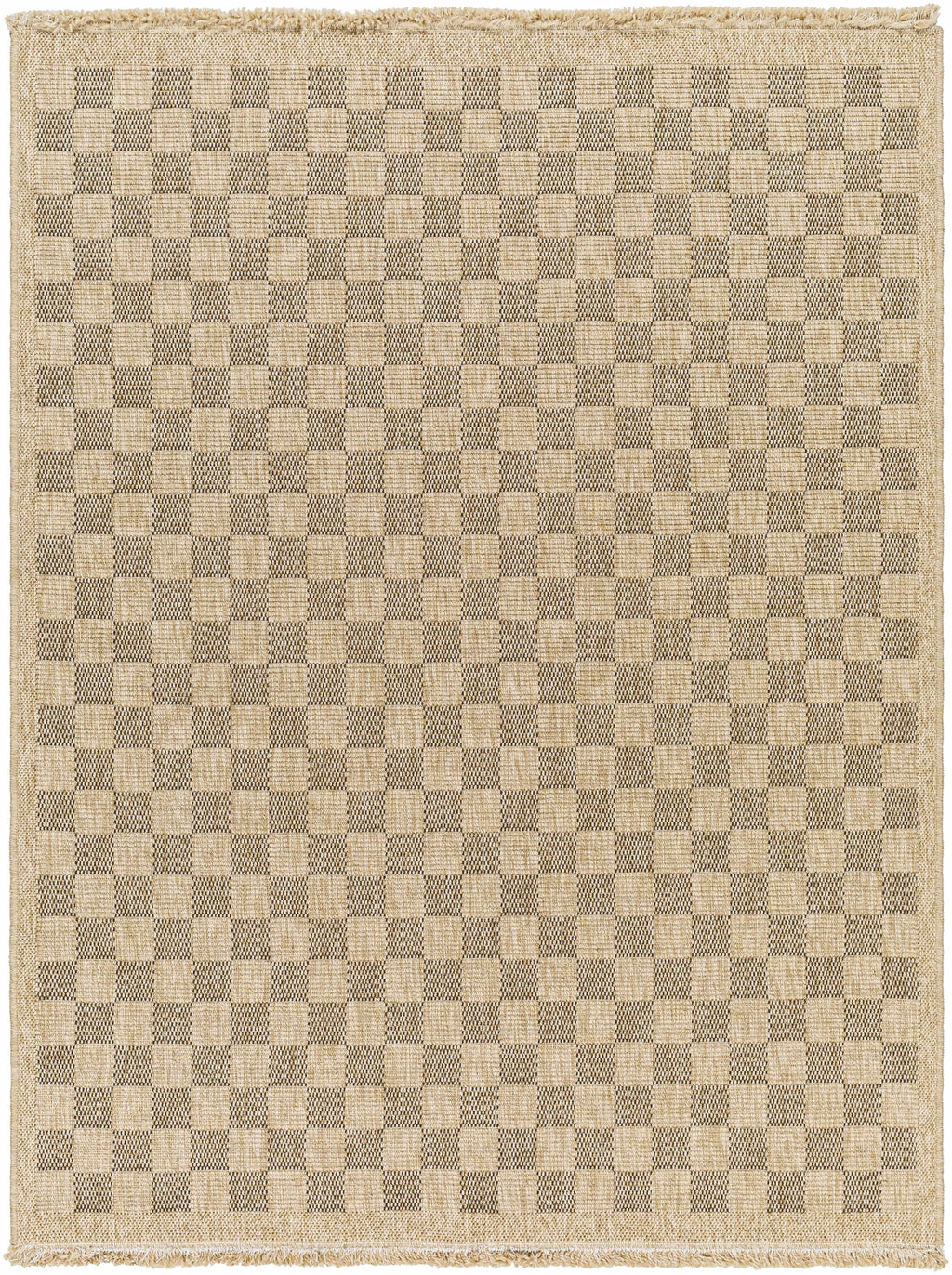 Jurek Beige & Brown Checkered Outdoor Area Rug
