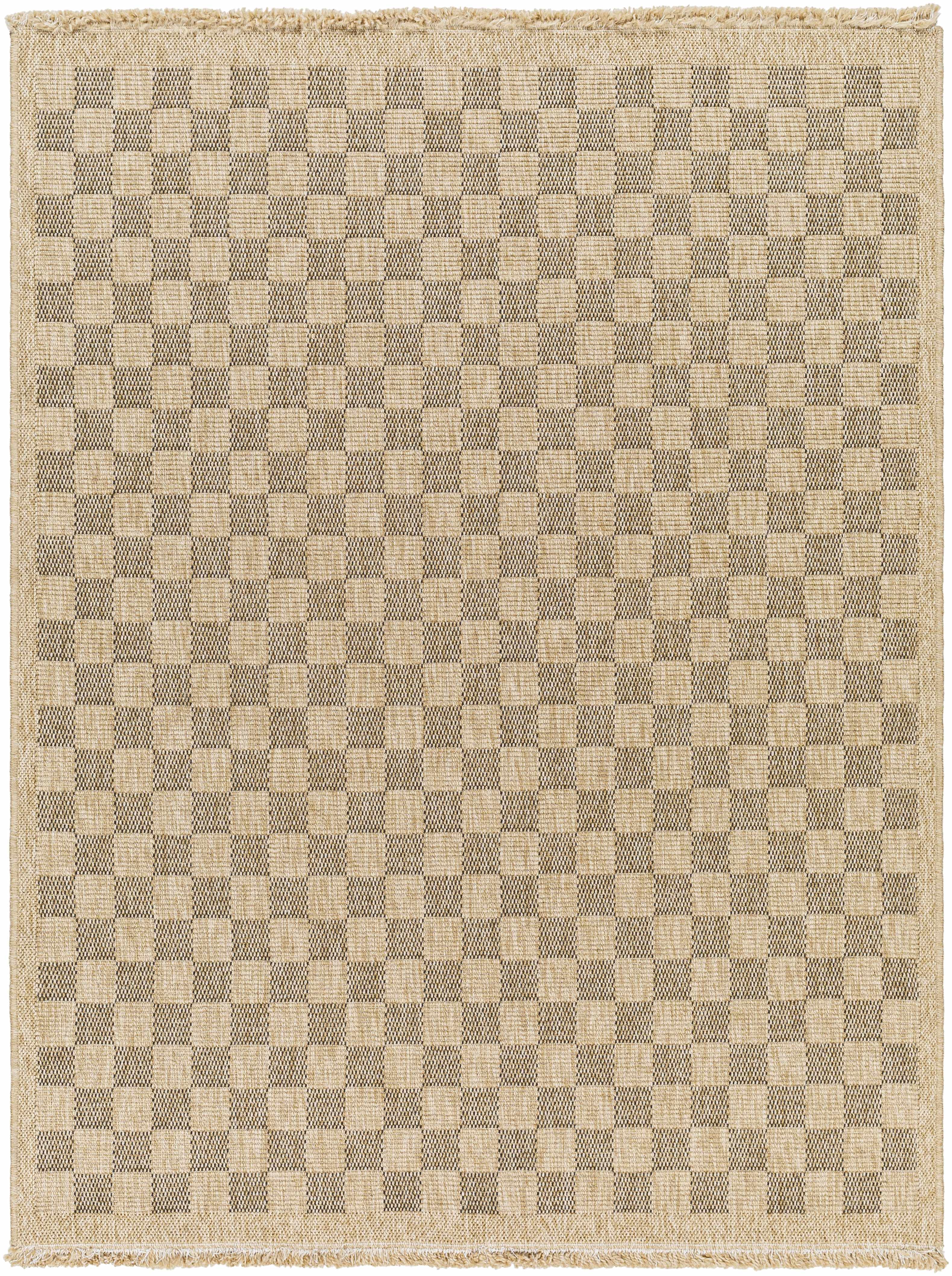 Jurek Beige & Brown Checkered Outdoor Area Rug