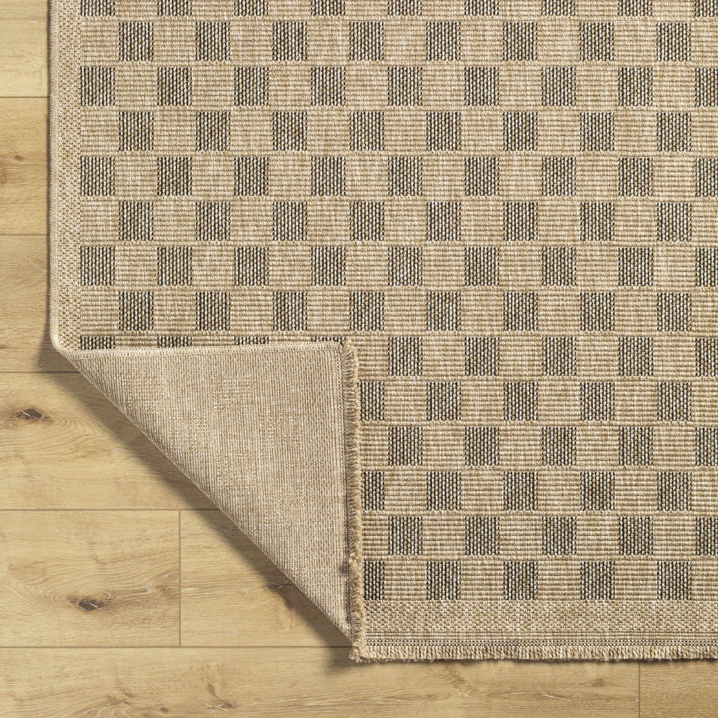 Jurek Beige & Brown Checkered Outdoor Area Rug