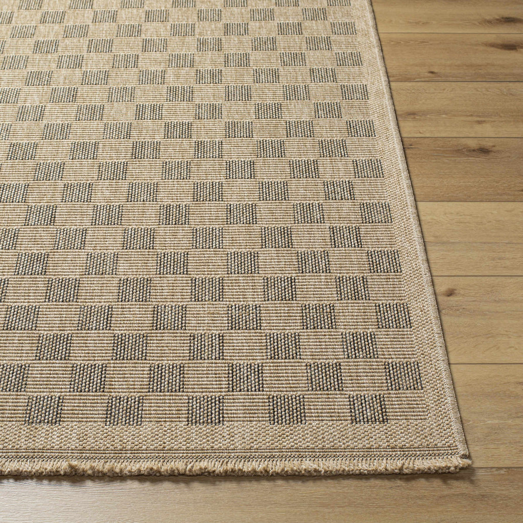 Jurek Beige & Brown Checkered Outdoor Area Rug