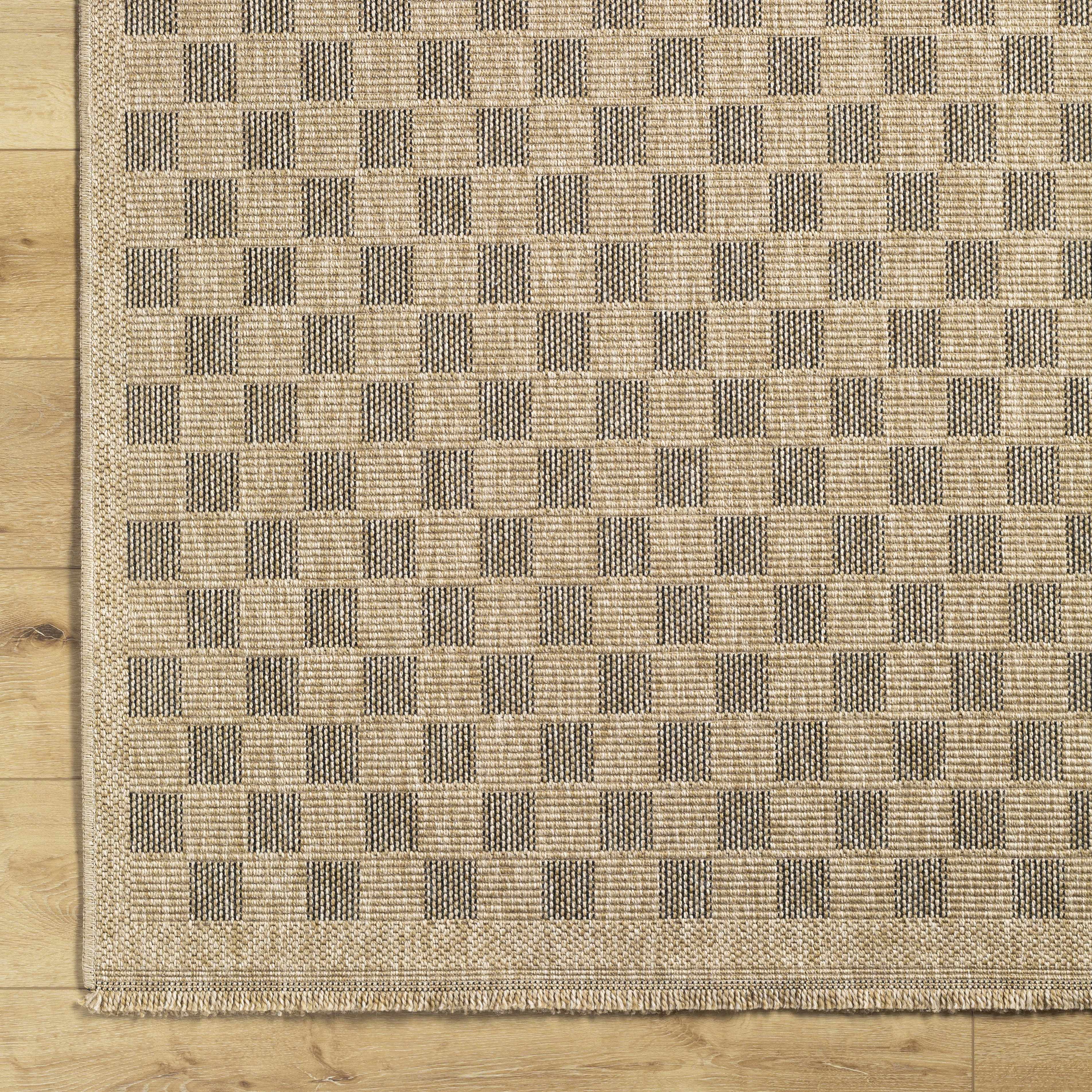 Jurek Beige & Brown Checkered Outdoor Area Rug