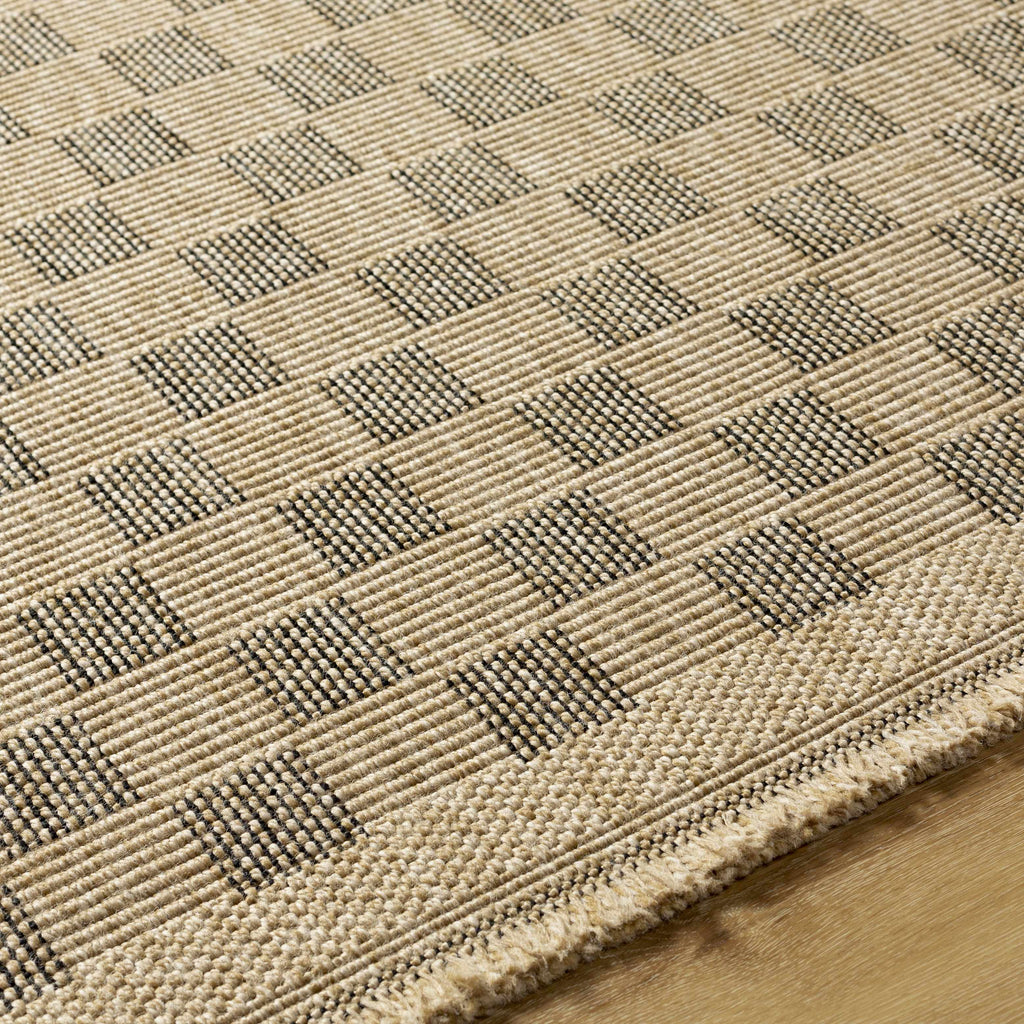 Jurek Beige & Brown Checkered Outdoor Area Rug