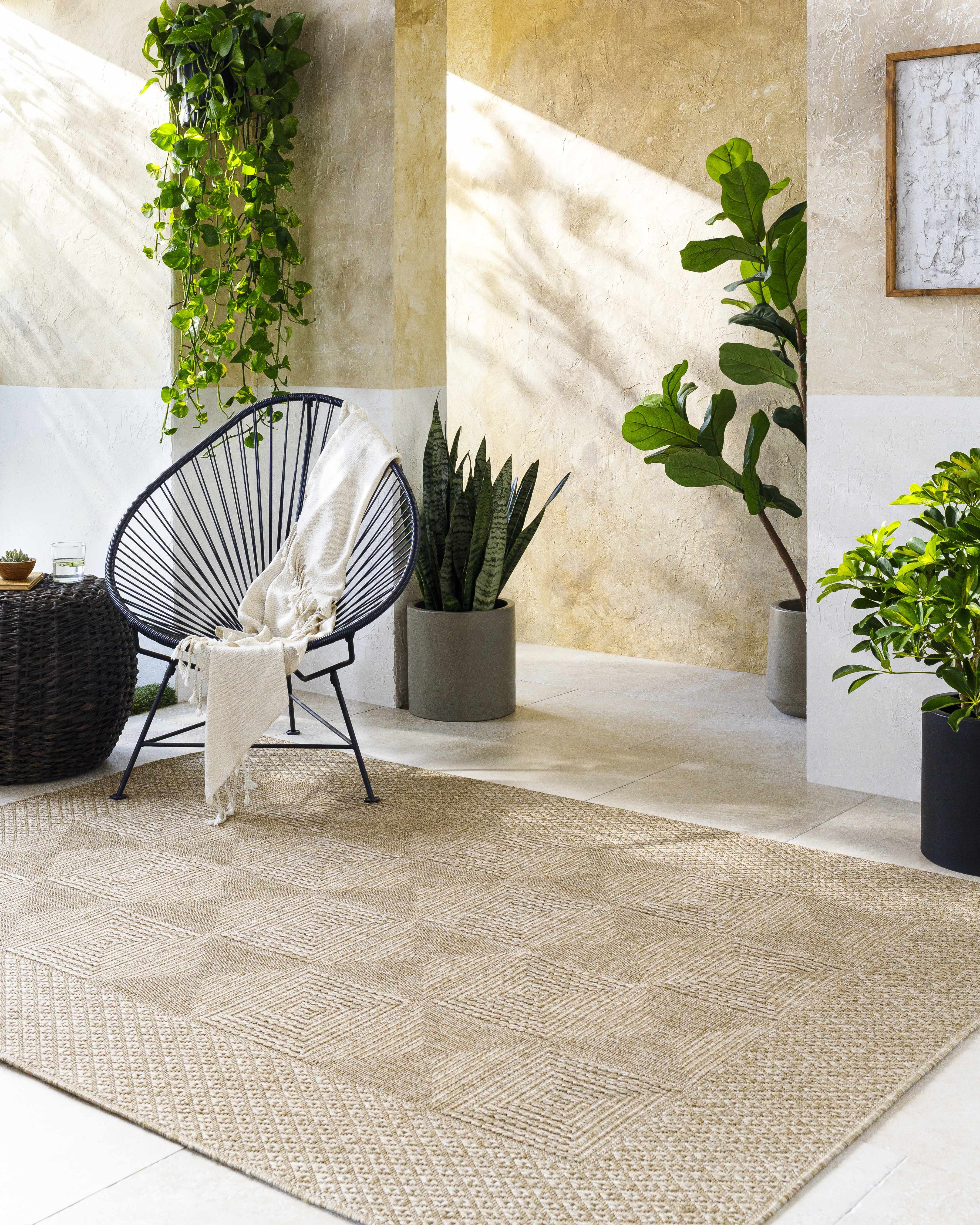 Anabia Brown Outdoor Area Rug