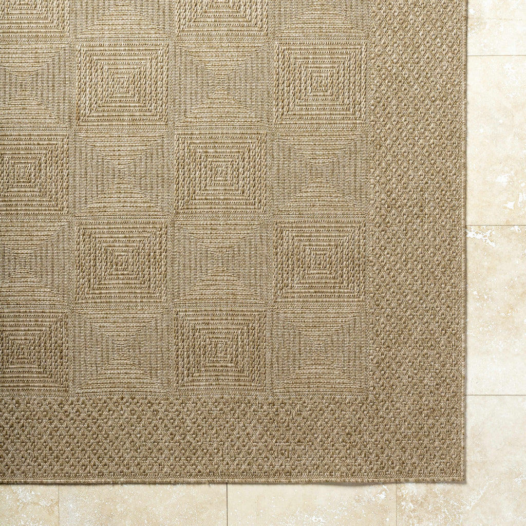 Anabia Brown Outdoor Area Rug