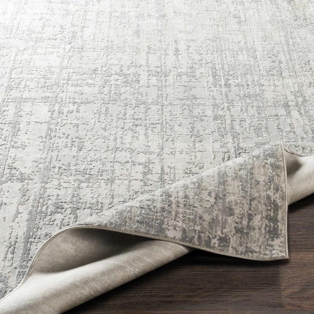 Cozahome Faux Silk Rug