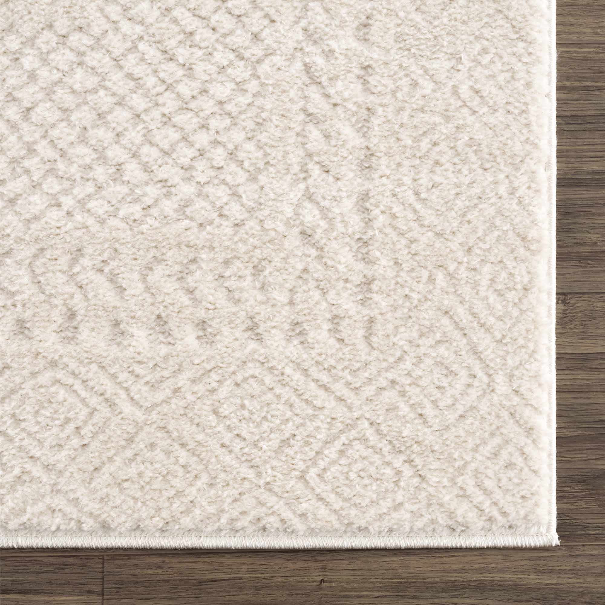 Julio Ivory Area Rug