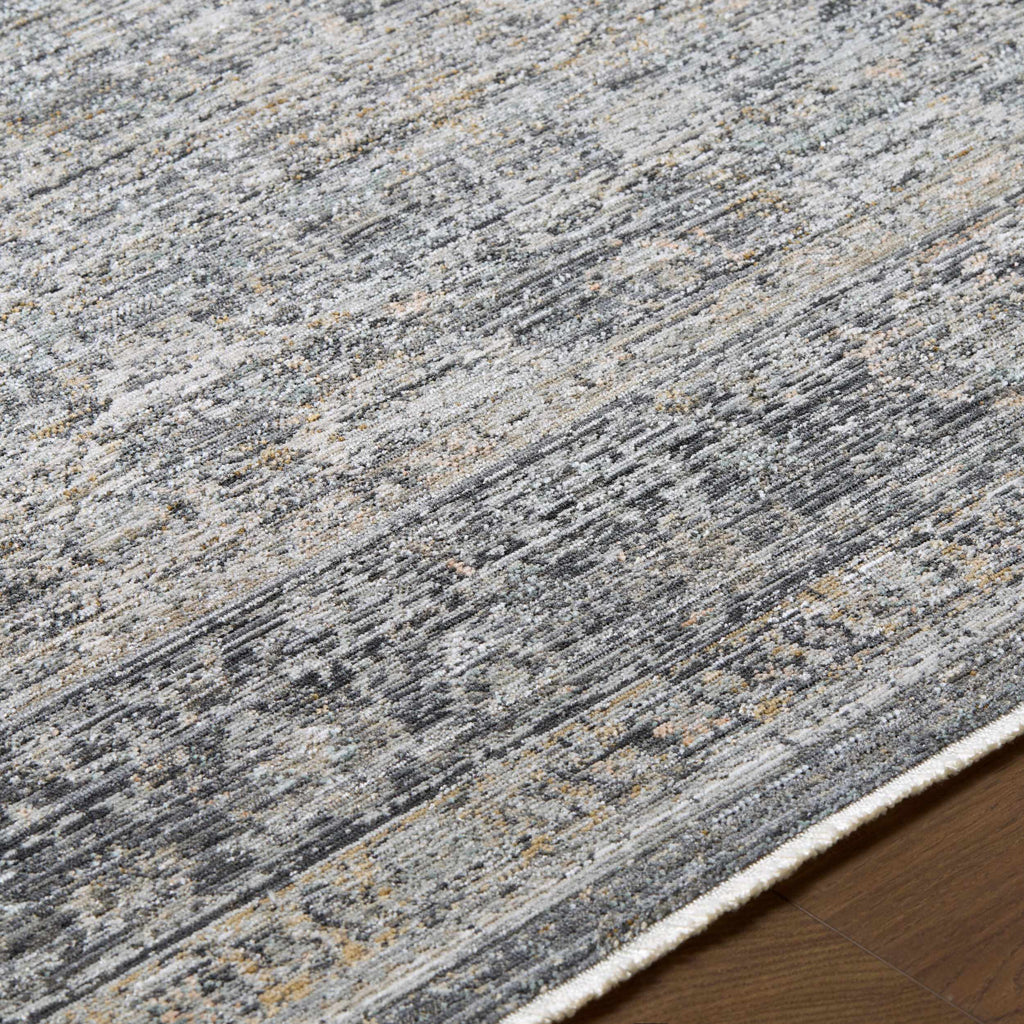 Neiland Outdoor Machine Woven Galey Alix x LIVABLISS GANL-2300 Area Rug