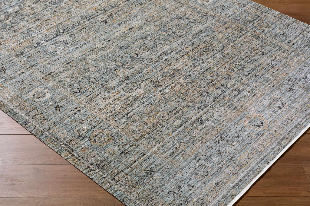 Neiland Outdoor Machine Woven Galey Alix x LIVABLISS GANL-2301 Area Rug