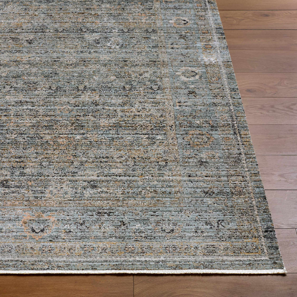 Neiland Outdoor Machine Woven Galey Alix x LIVABLISS GANL-2301 Area Rug
