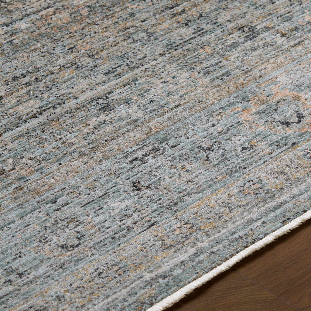 Neiland Outdoor Machine Woven Galey Alix x LIVABLISS GANL-2301 Area Rug