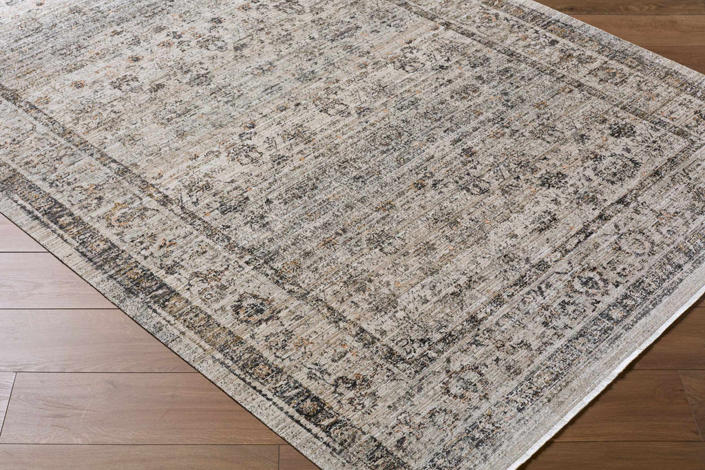 Neiland Outdoor Machine Woven Galey Alix x LIVABLISS GANL-2302 Area Rug