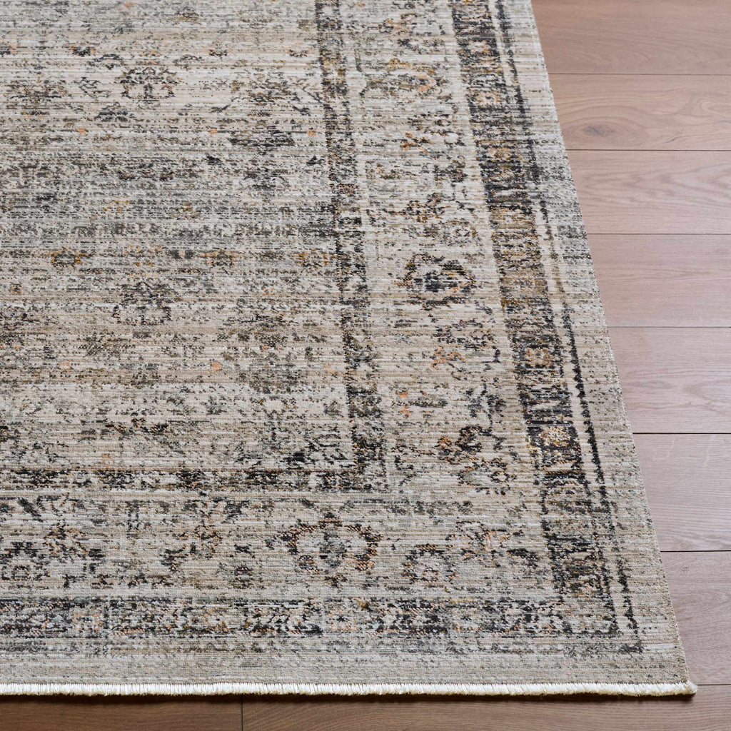 Neiland Outdoor Machine Woven Galey Alix x LIVABLISS GANL-2302 Area Rug