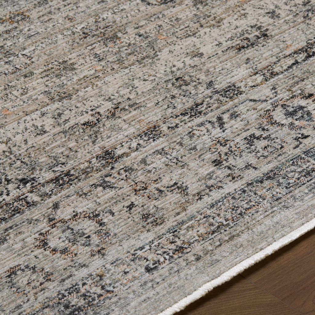 Neiland Outdoor Machine Woven Galey Alix x LIVABLISS GANL-2302 Area Rug