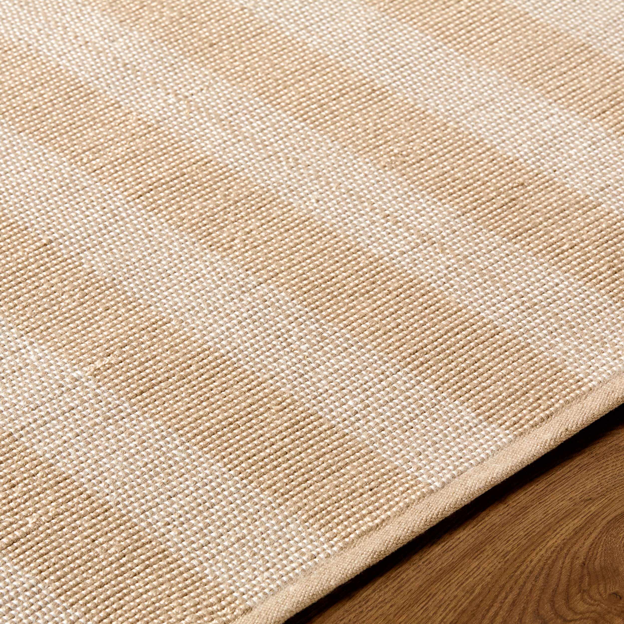 Carpeneto Beige Striped Outdoor Area Rug