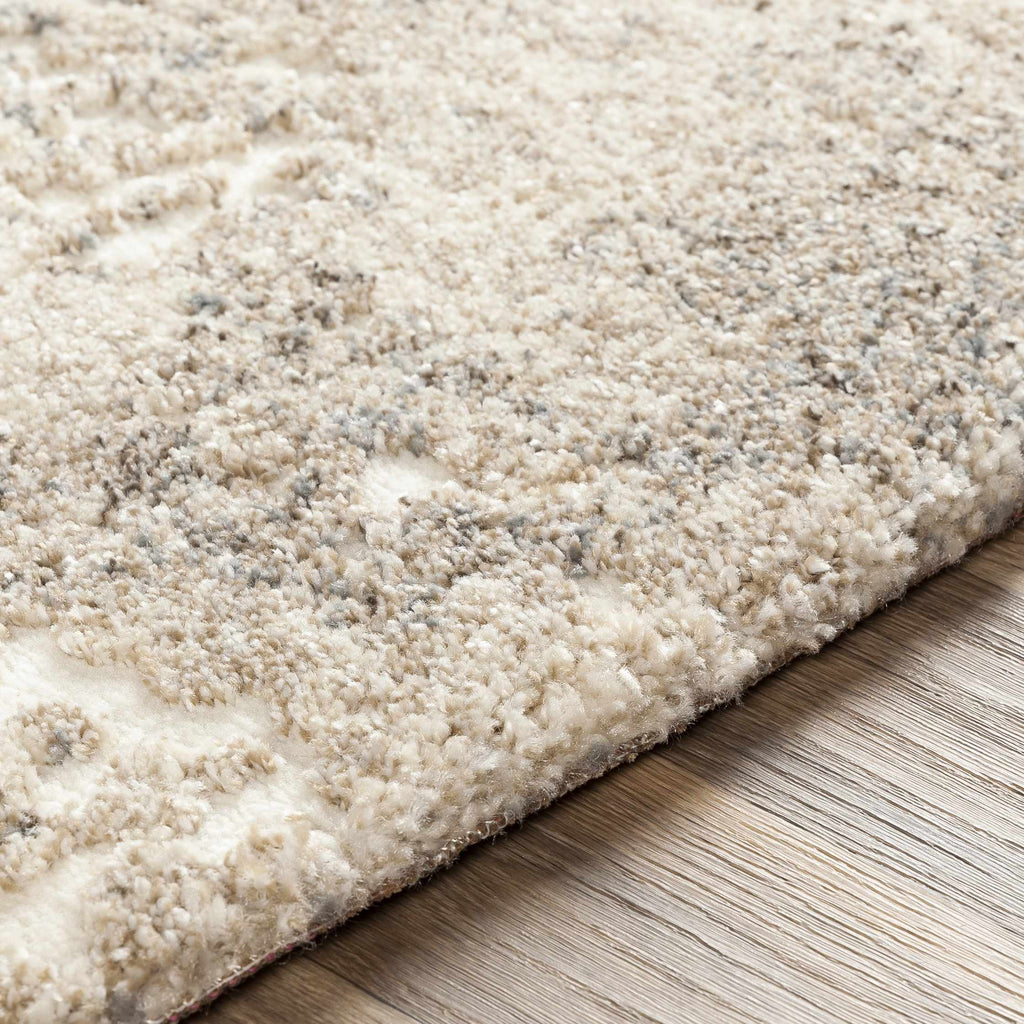 Holtsville Abstract Ivory Thick Rug